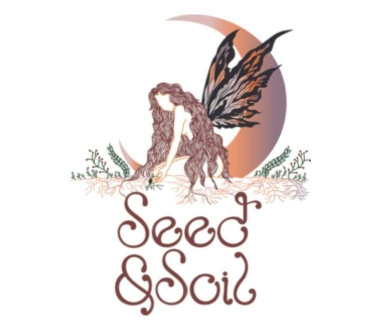 S&S | Pink Jade Auto | Feminized Seeds | 5 Pack at Broadway Cannabis