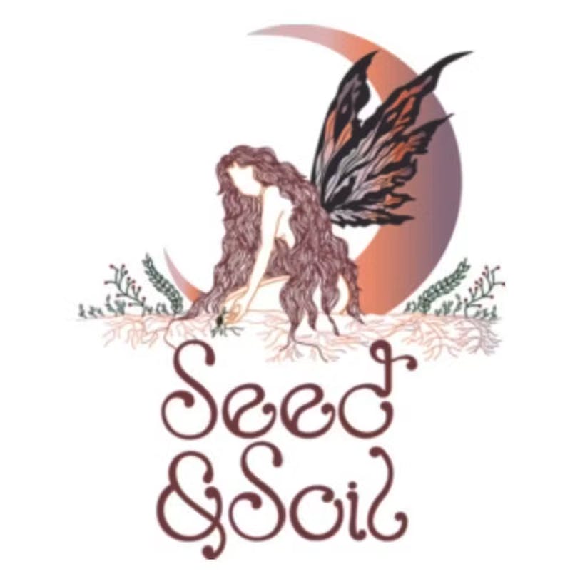 S&S | Tangie | F & R Seeds | 5 Pack at Broadway Cannabis