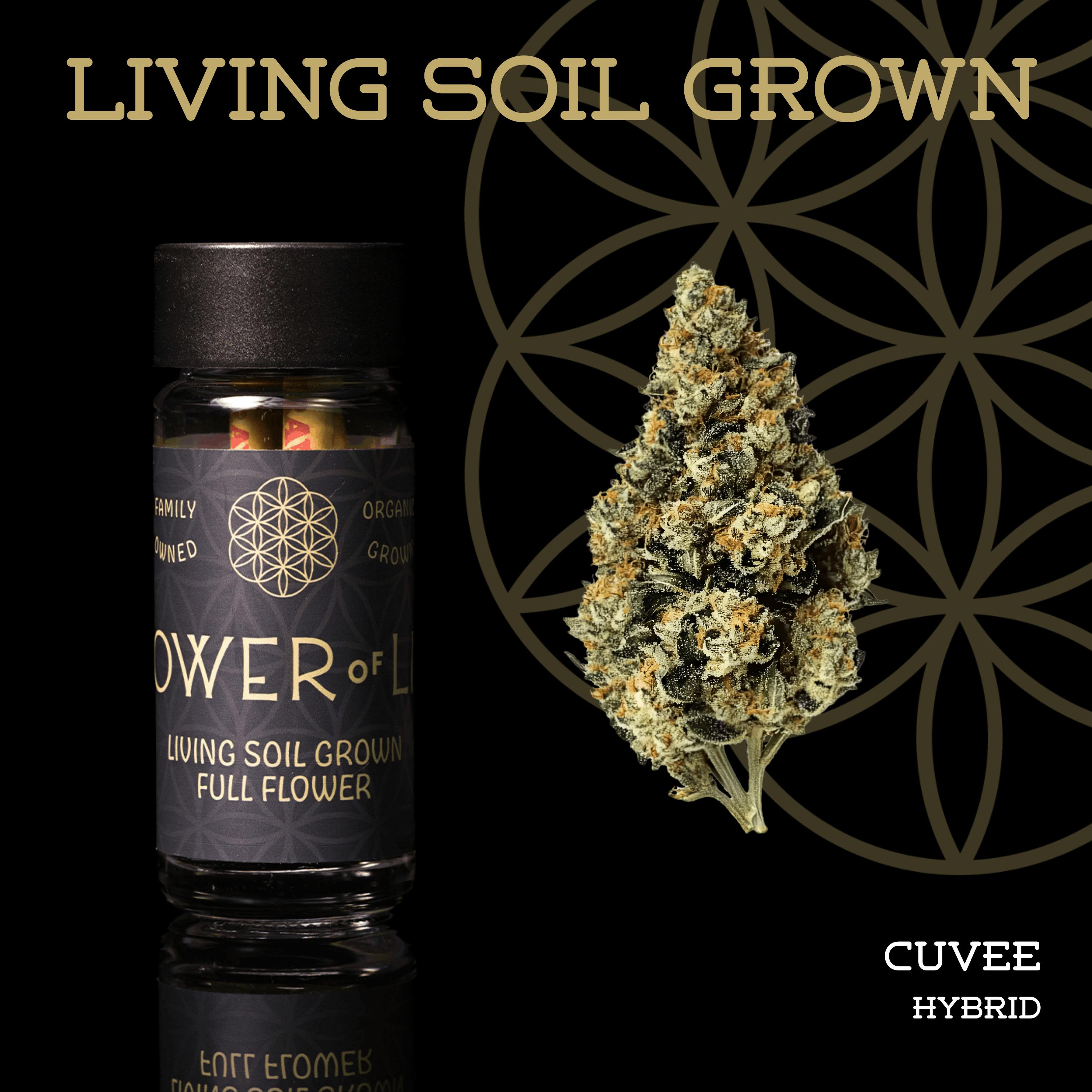 Cuvee | Minis | 0.5g each | 5pk