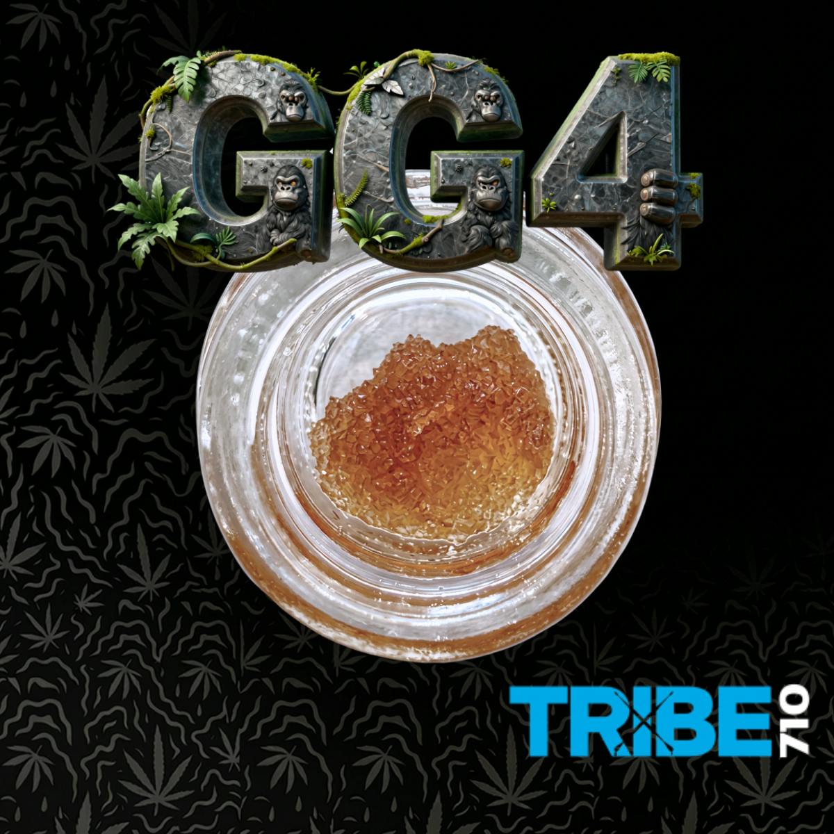 Tribe 710: Gg4