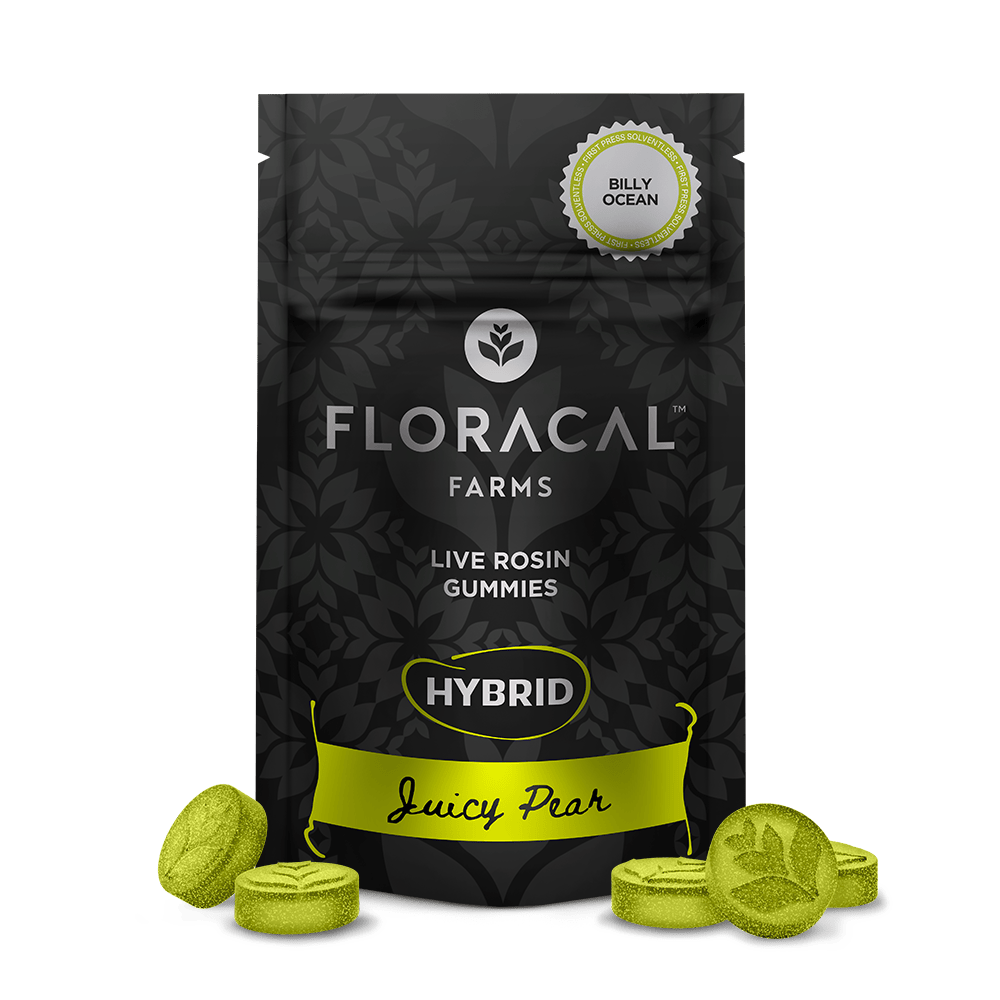 Live Rosin Juicy Pear (Billy Ocean) Gummies | 100mg | 10ct | 10mg/ea