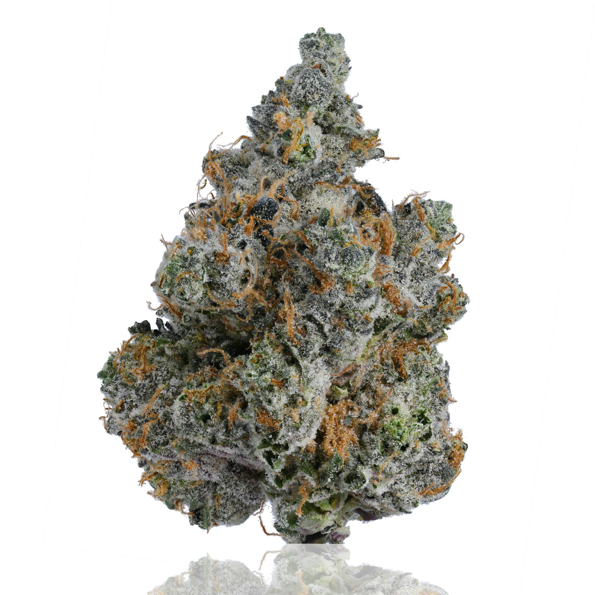 CAM | Berry Biscotti | Big Buds | 14g