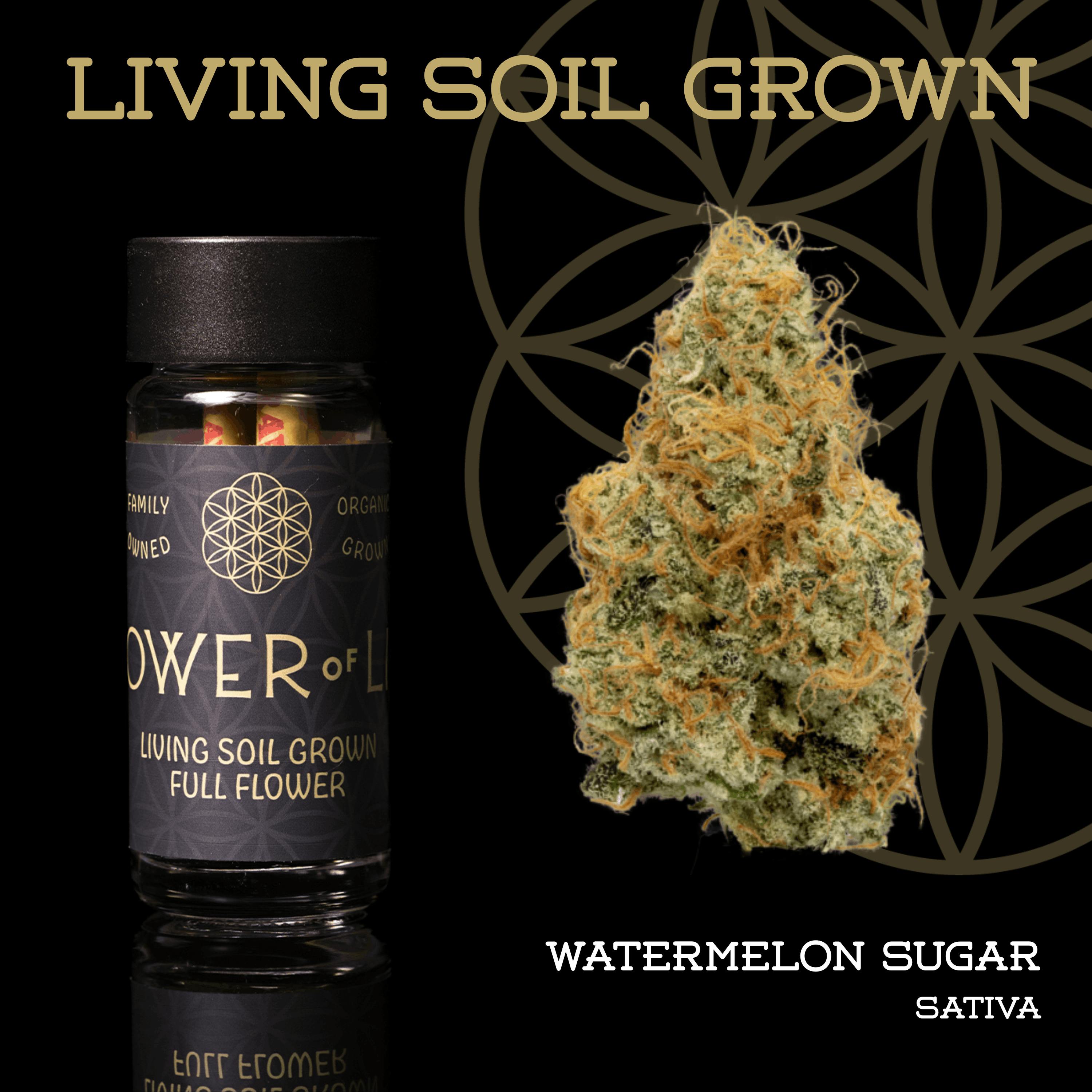 Watermelon Sugar | Minis | 0.5g each | 5pk