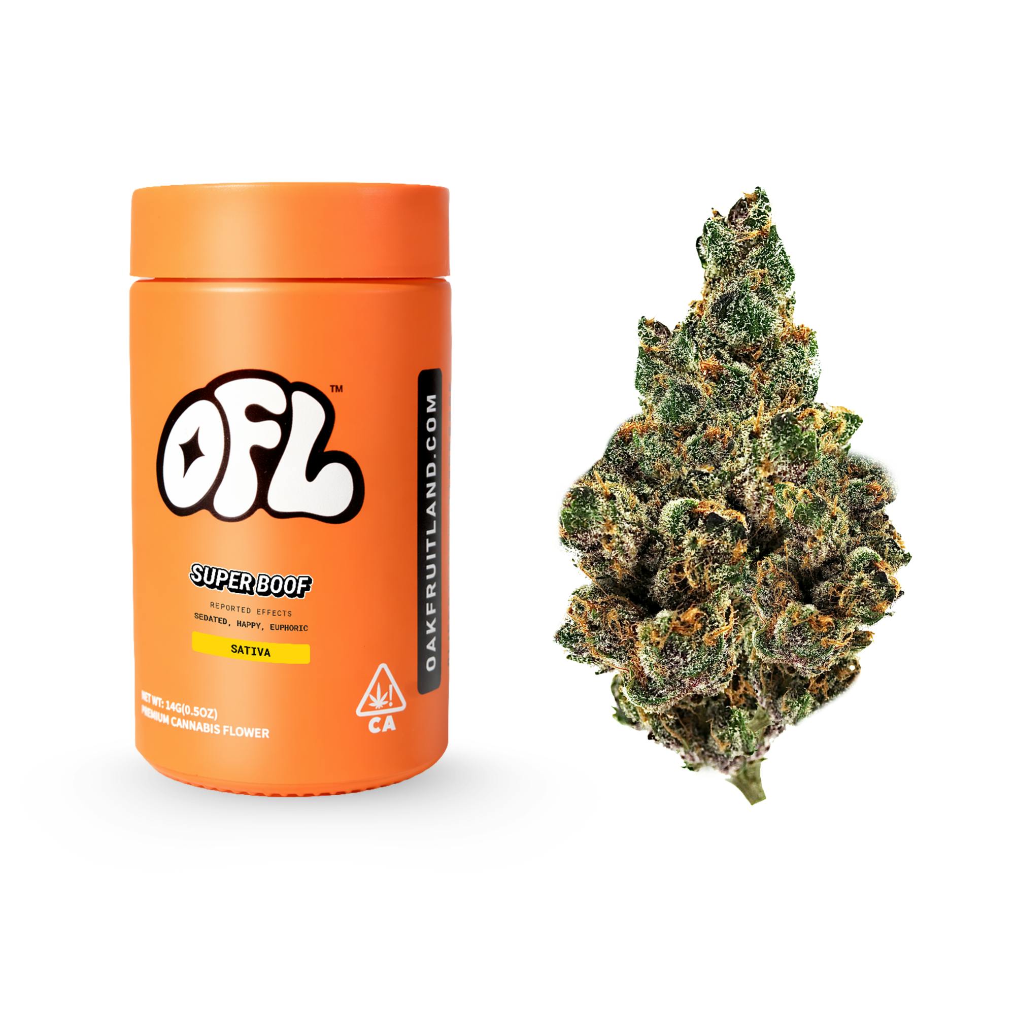 Oakfruitland (OFL): Super Boof
