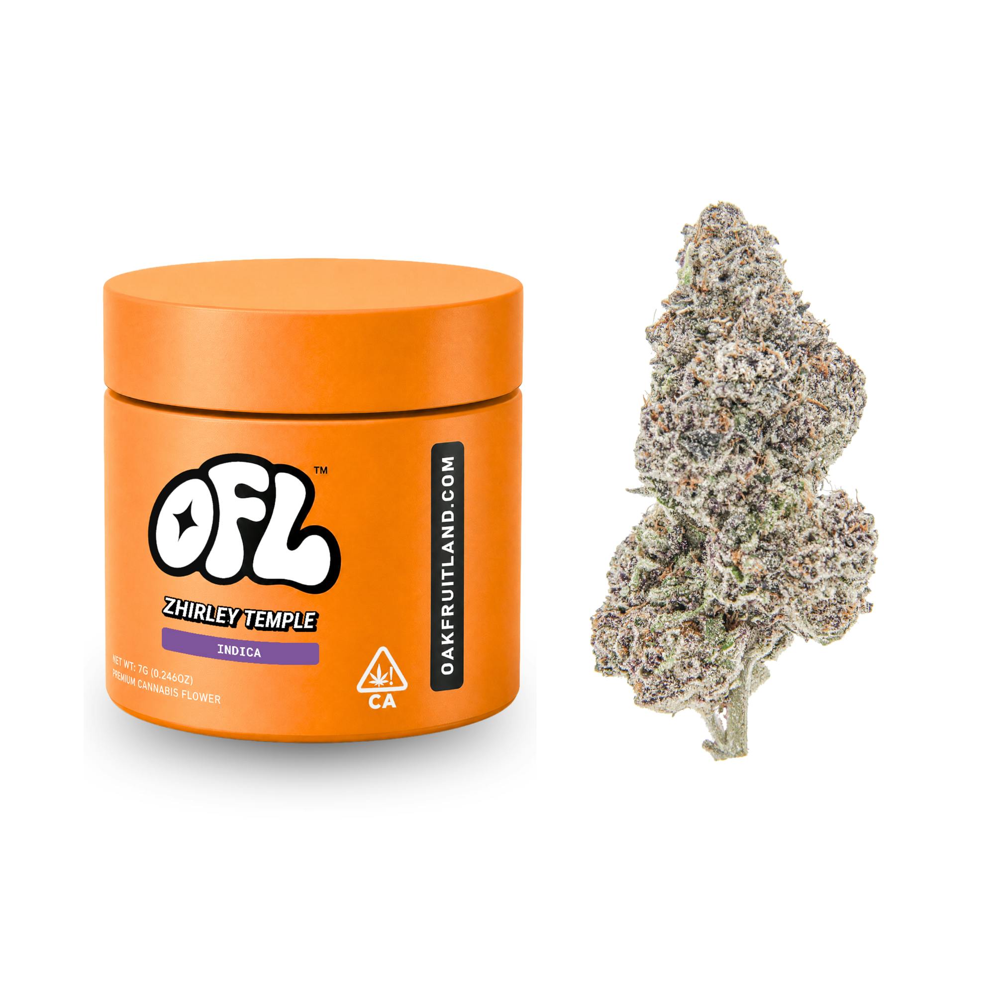 Oakfruitland (OFL): Zhirley Temple