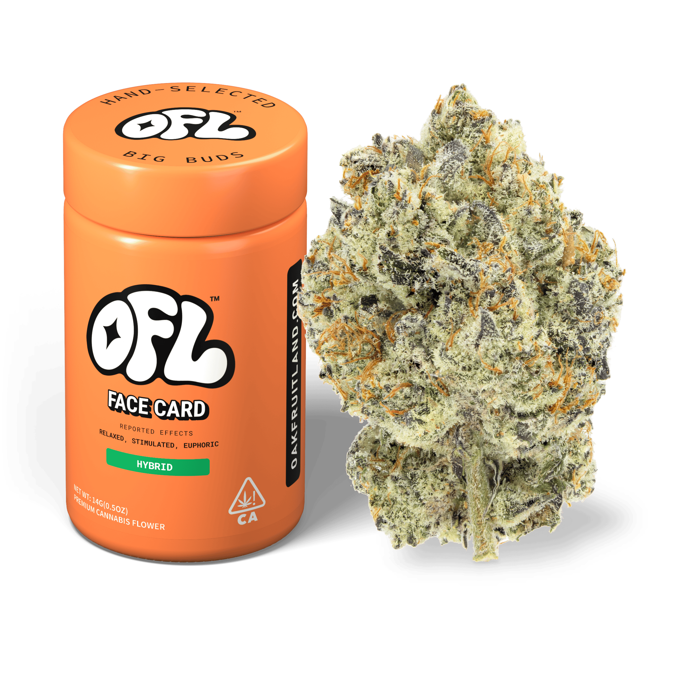 Face Card | Big Buds Jar | 14g