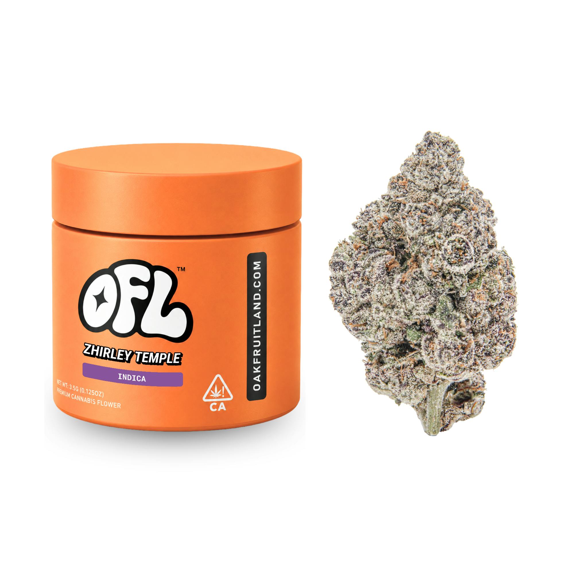 Oakfruitland (OFL): Zhirley Temple