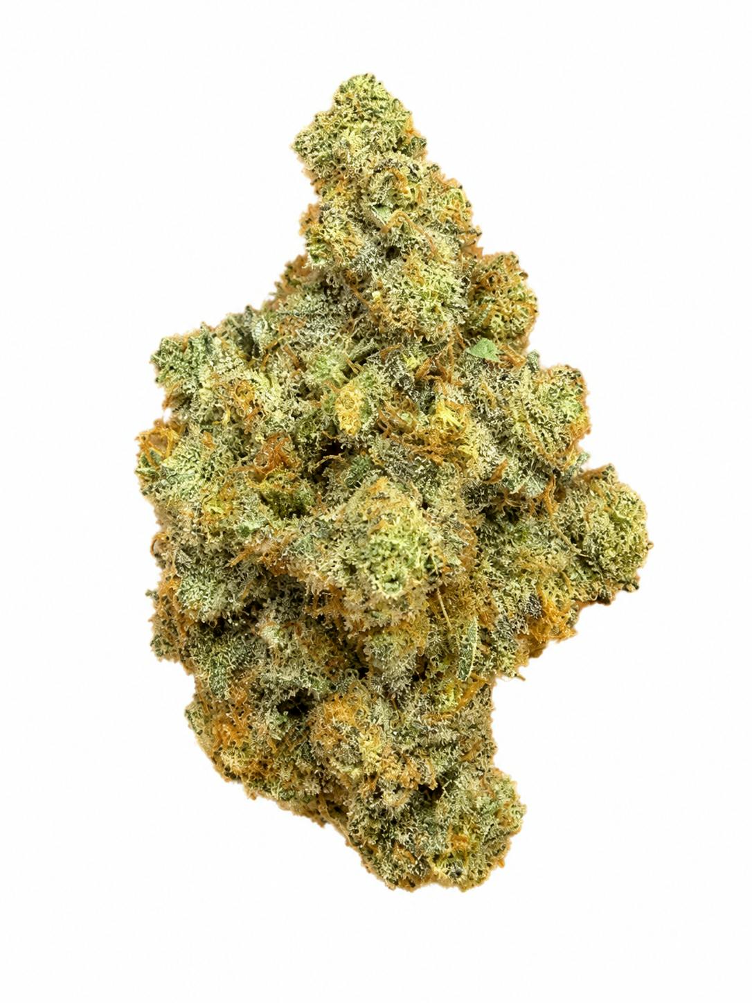 GreenOut: Xj-13