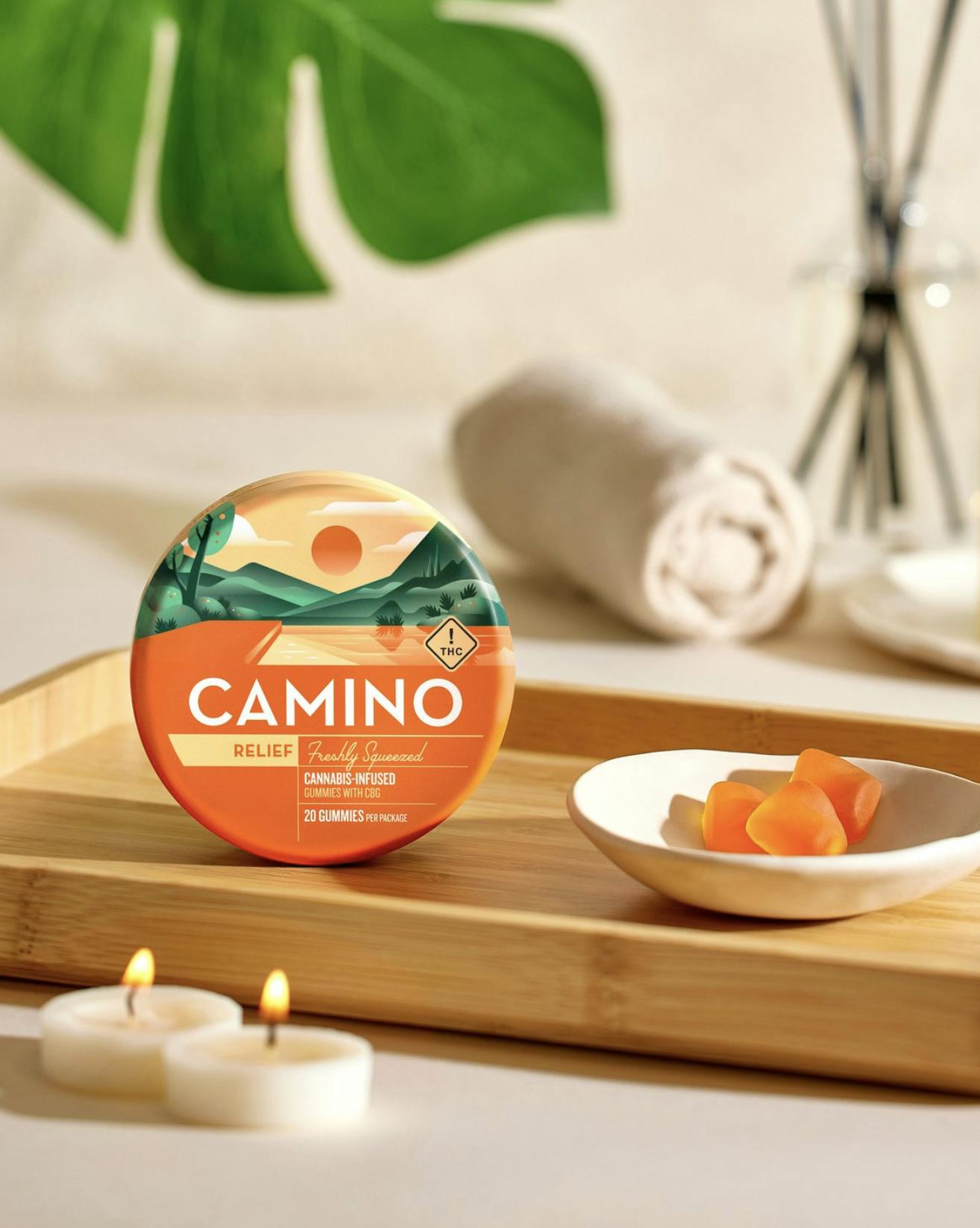 CAMINO: Freshly Squeezed - :2