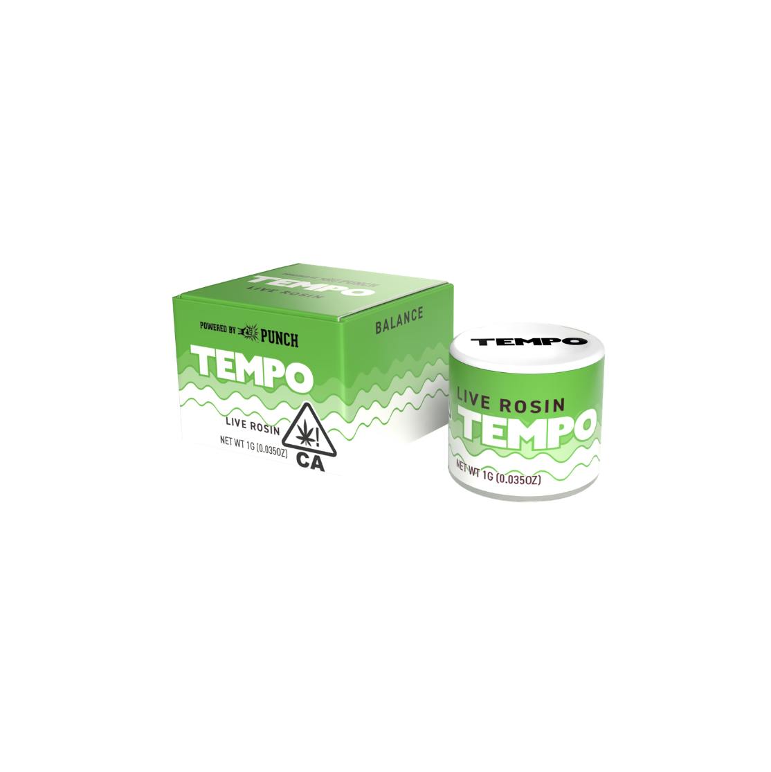TEMPO: Pine Bloom