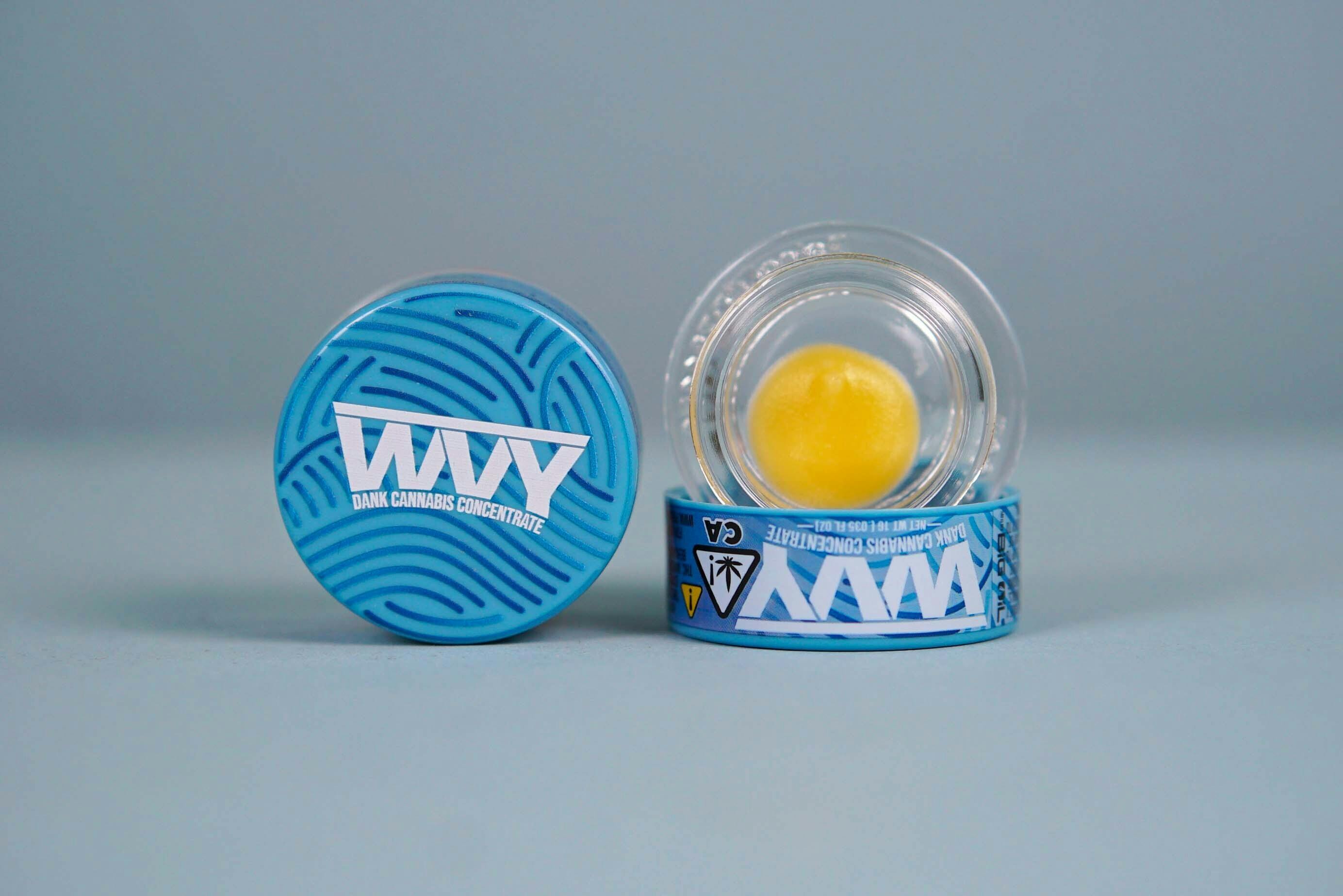 WVY: Gas Plant
