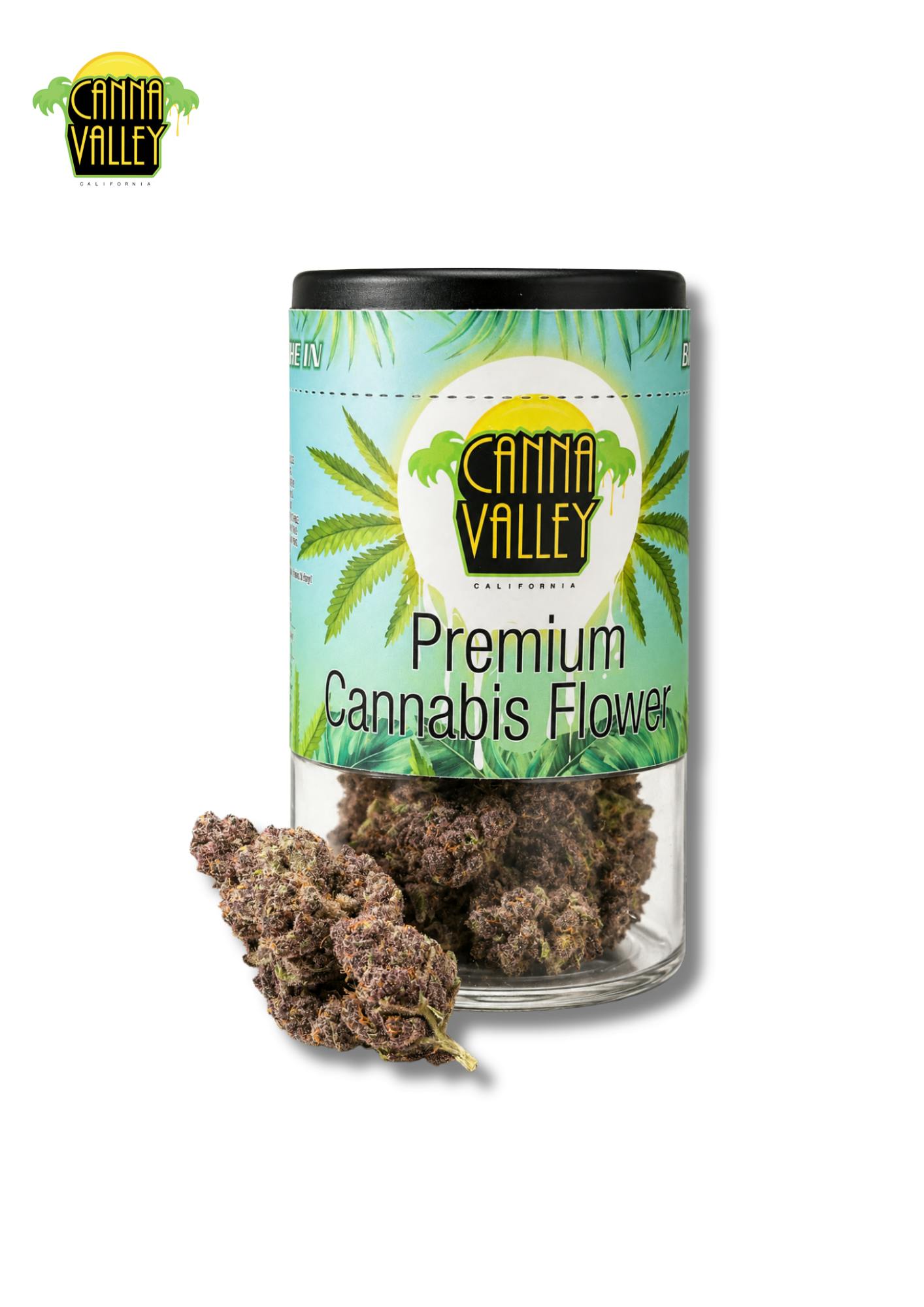 Canna Valley: Purple Champagne