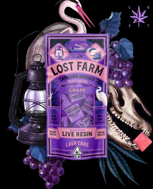 Lost Farm: Lava Cake