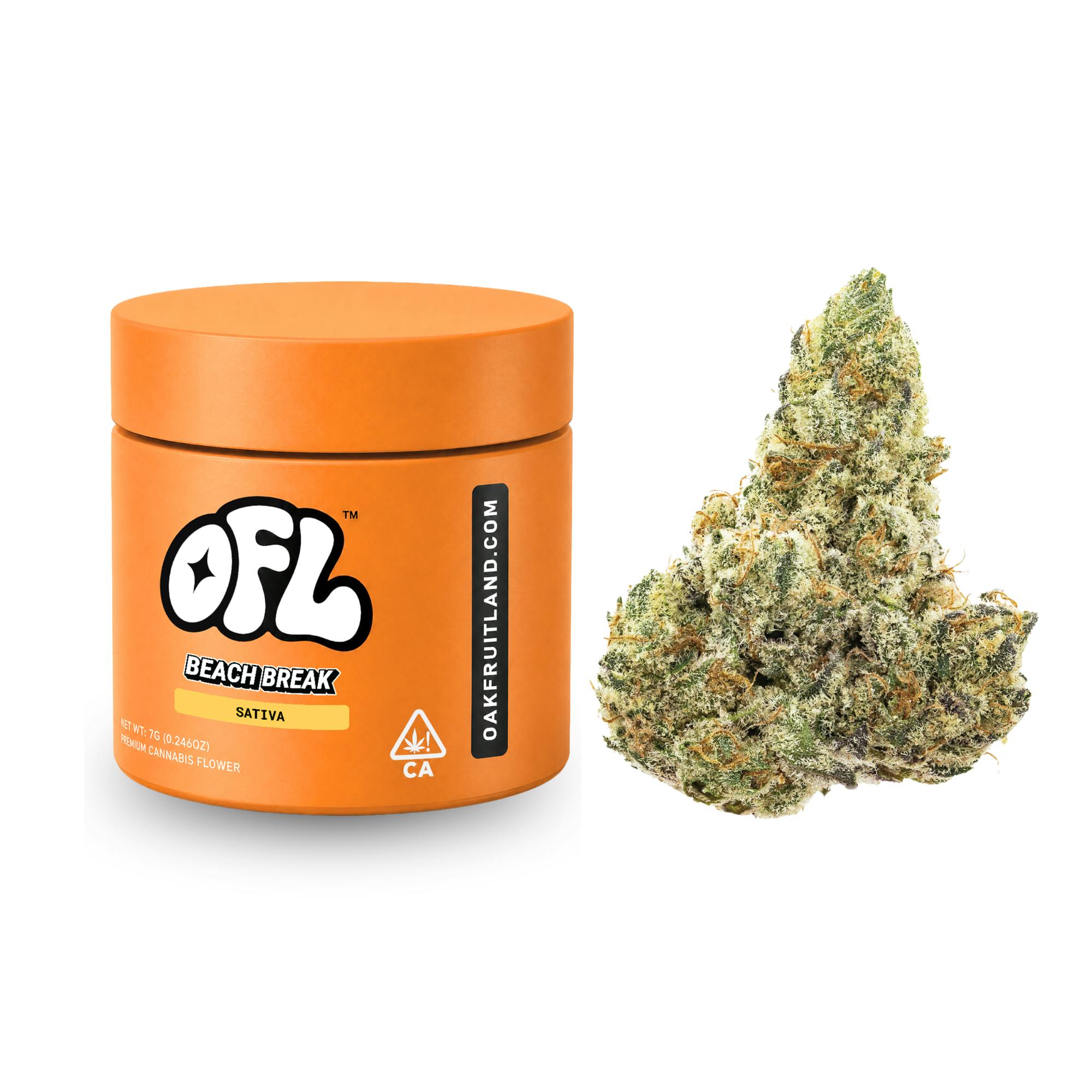 Oakfruitland (OFL): Beach Break