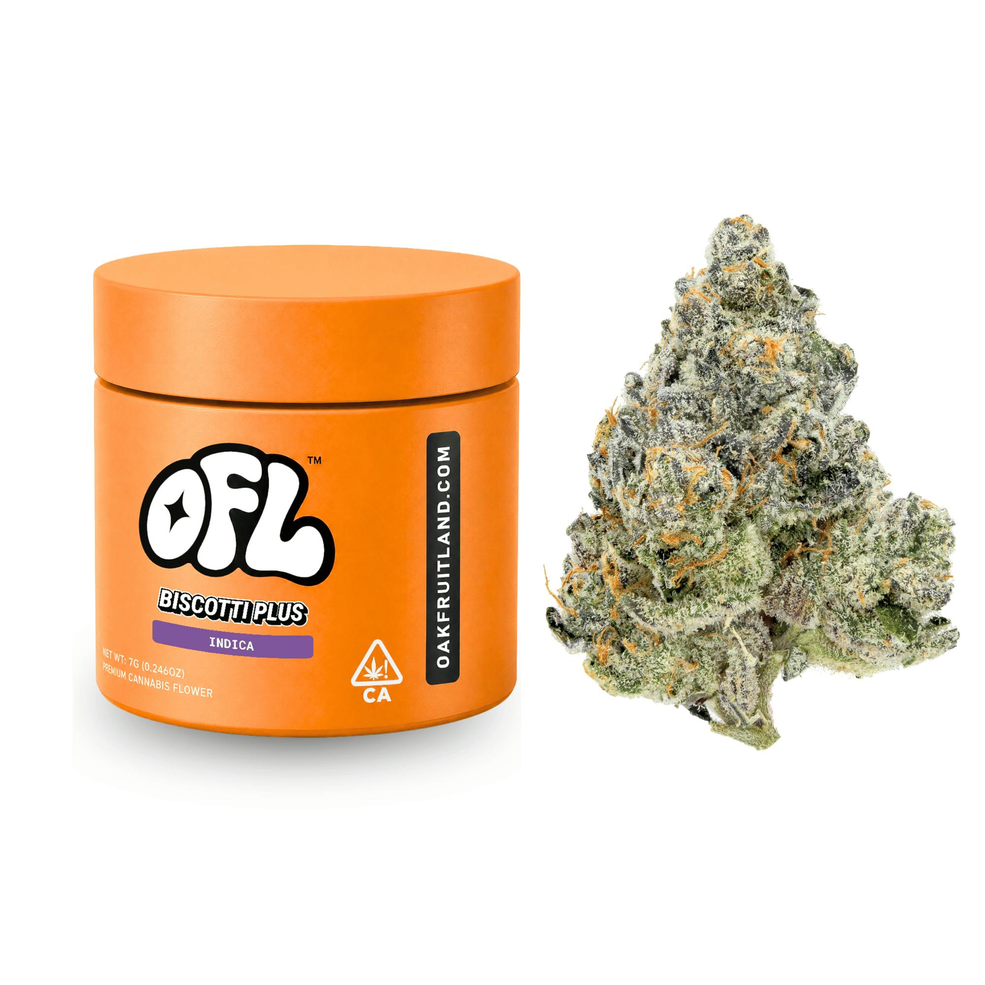 Biscotti Plus | Big Buds Jar | 7g