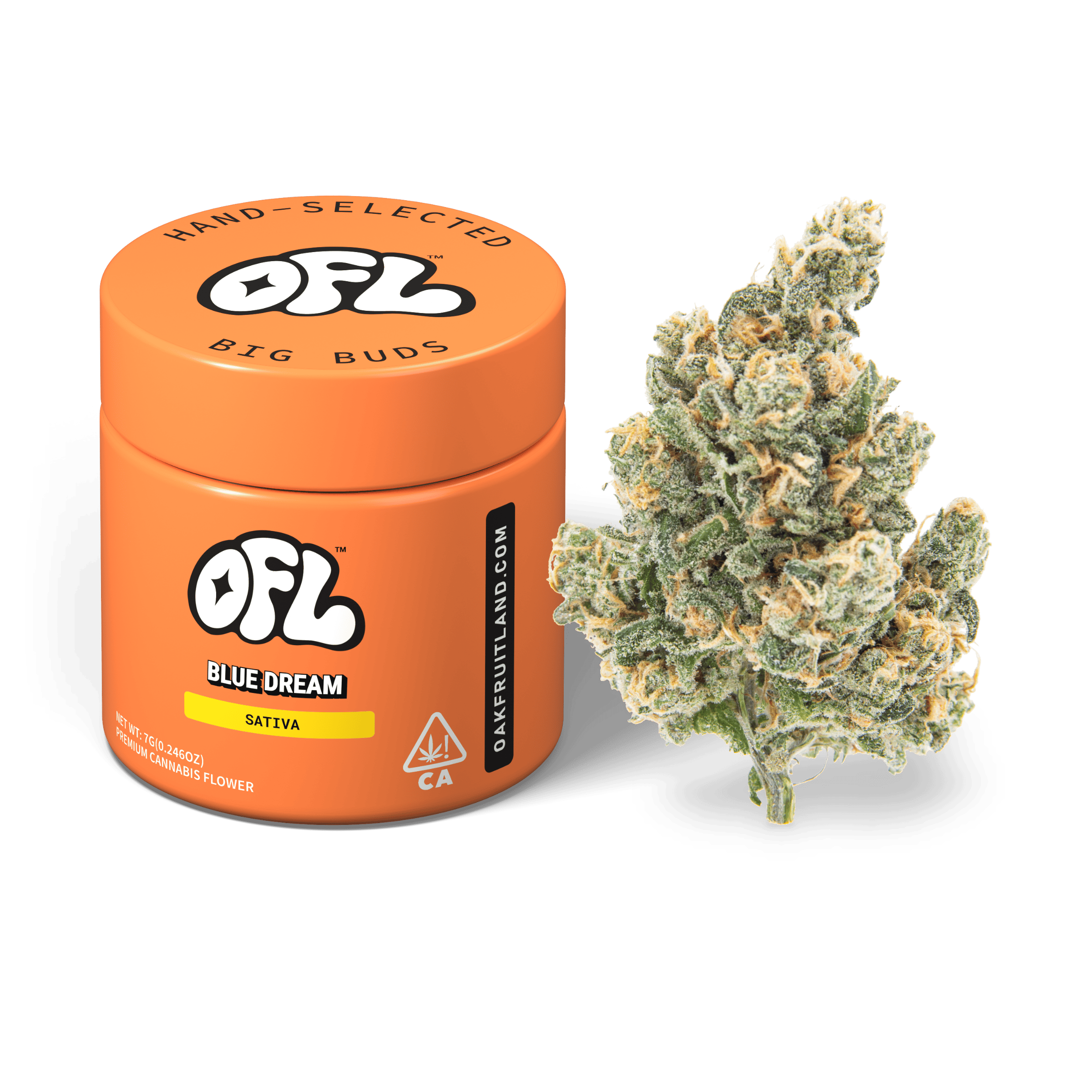 Blue Dream | Big Buds Jar | 7g