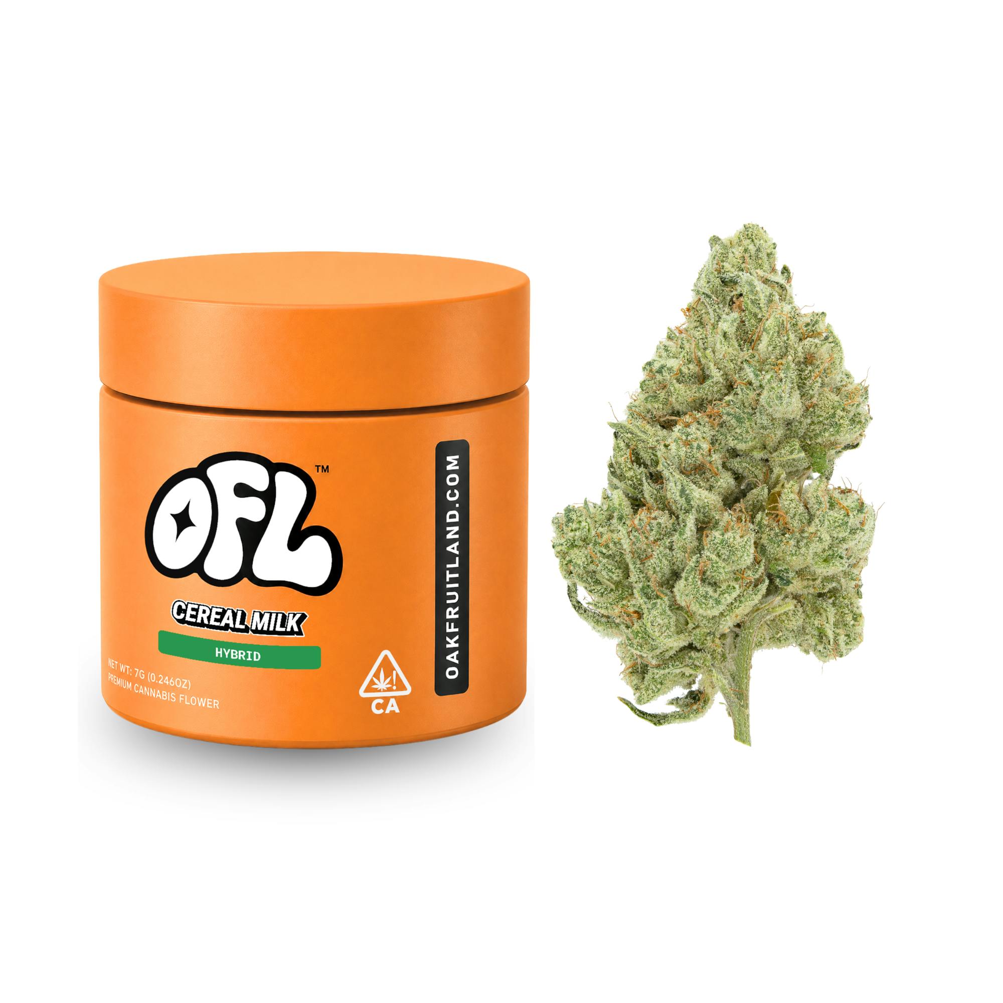 Cereal Milk | Big Buds Jar | 7g