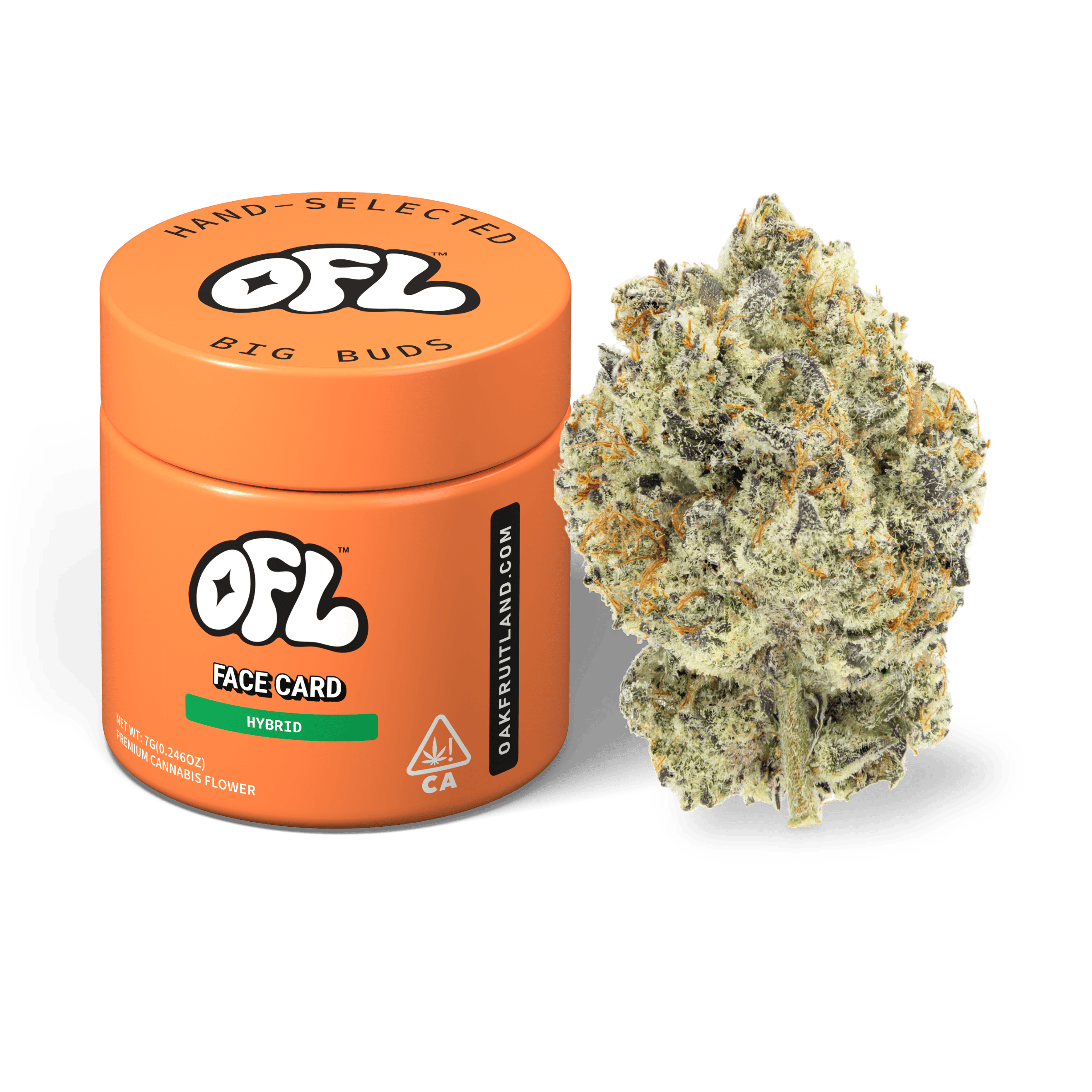 Face Card | Big Buds Jar | 7g