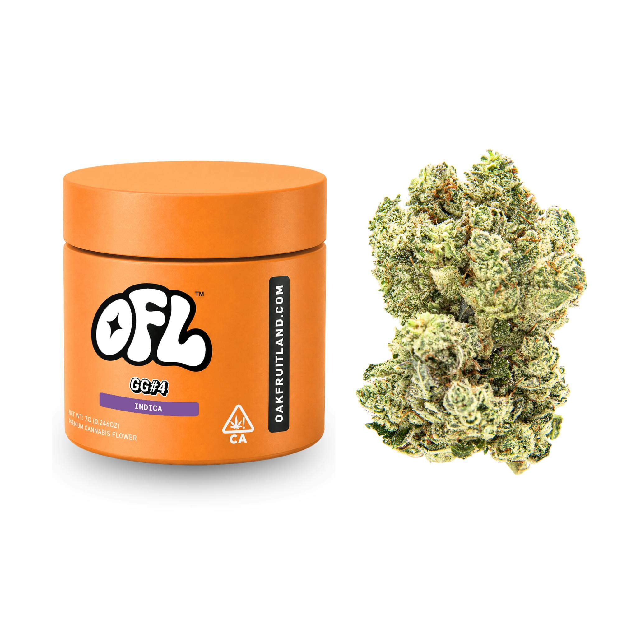 Oakfruitland (OFL): Gg4