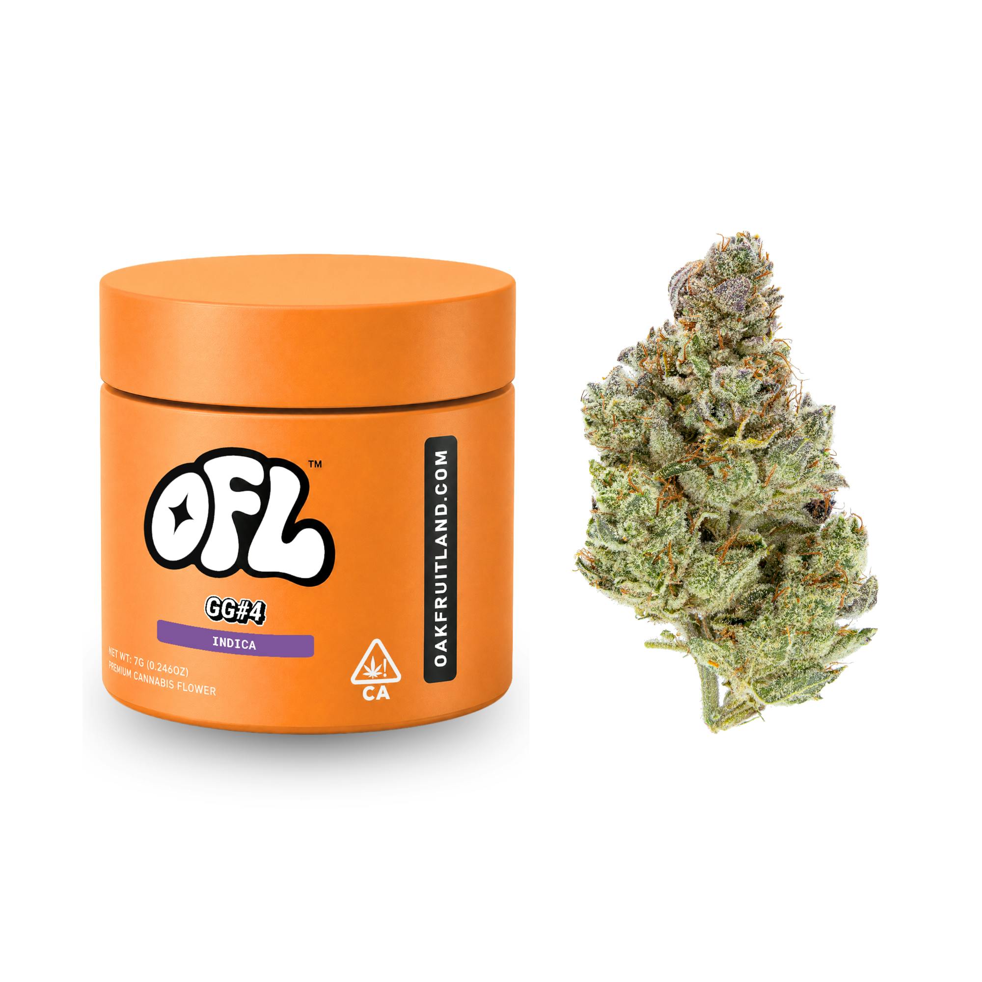GG#4 | Big Buds Jar | 7g