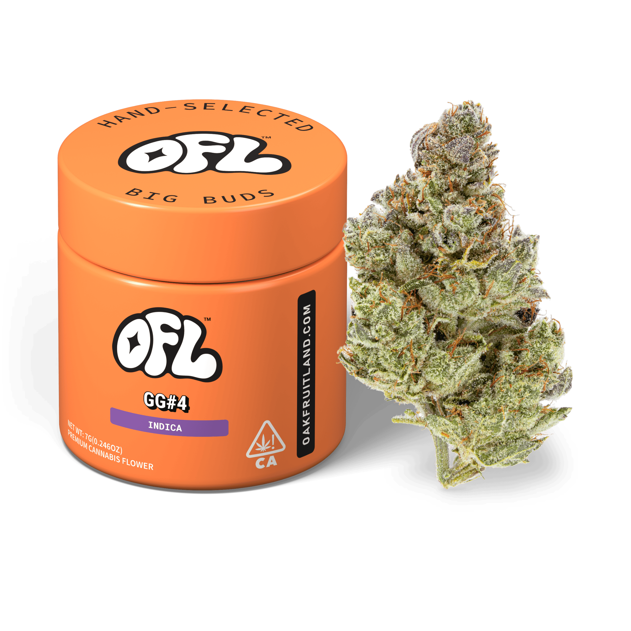 GG#4 | Big Buds Jar | 7g