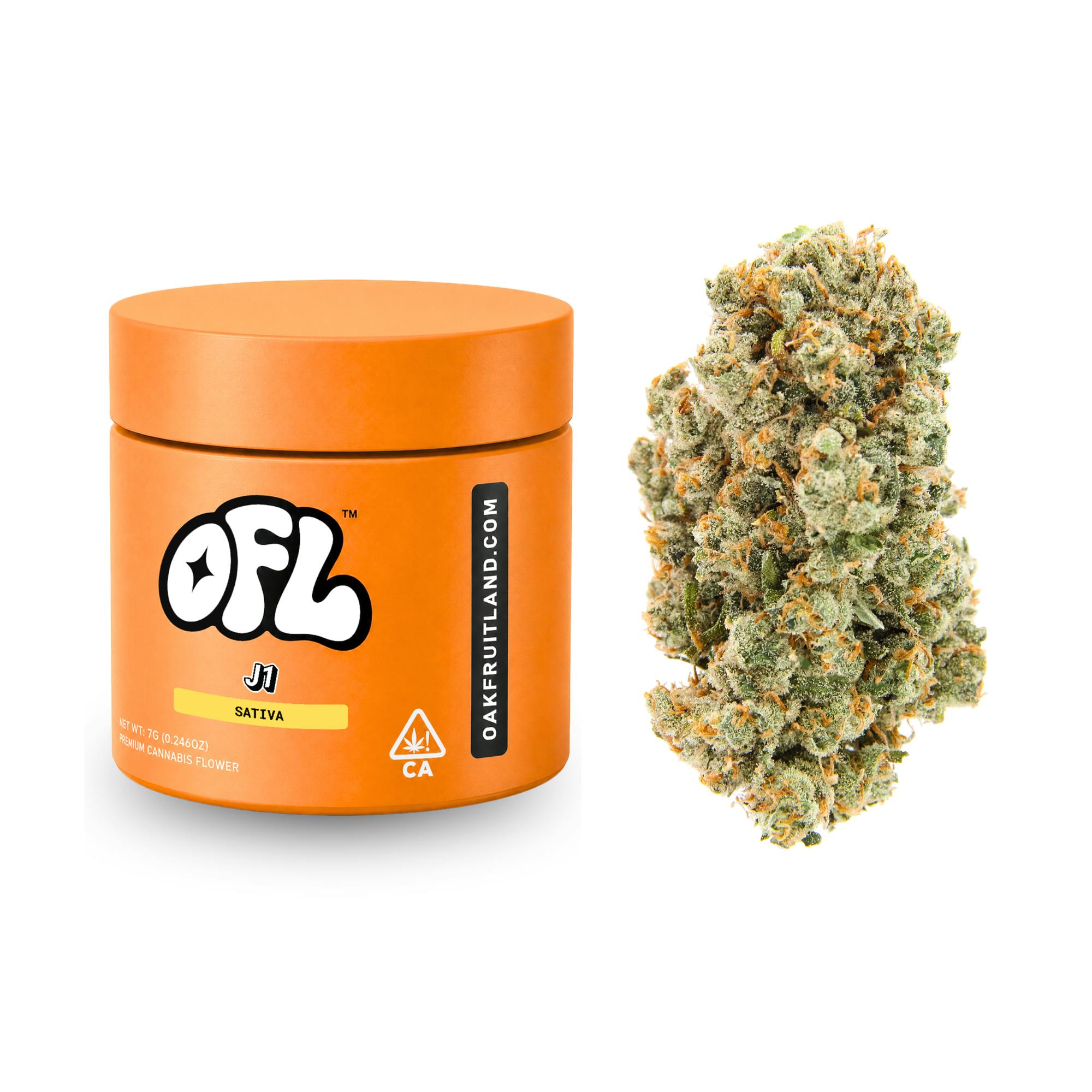 Oakfruitland (OFL): Jack One