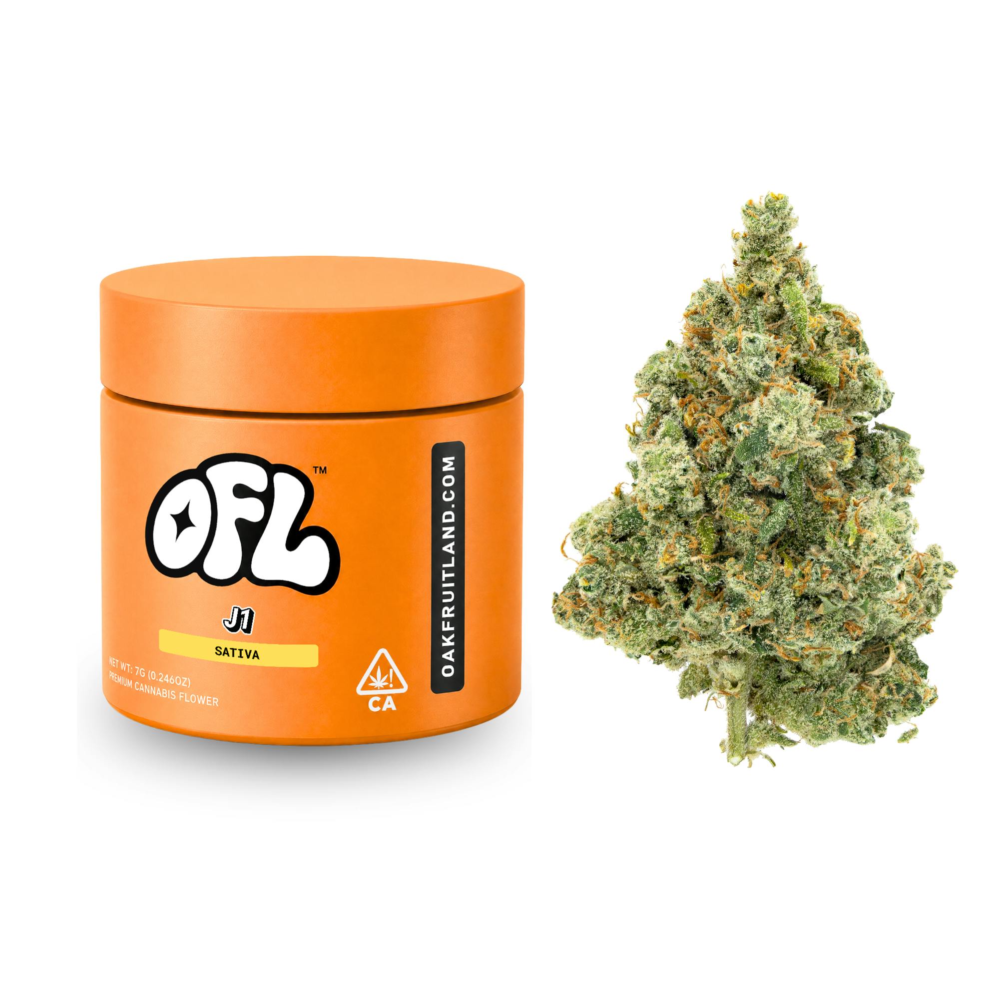 J1 | Big Buds Jar | 7g