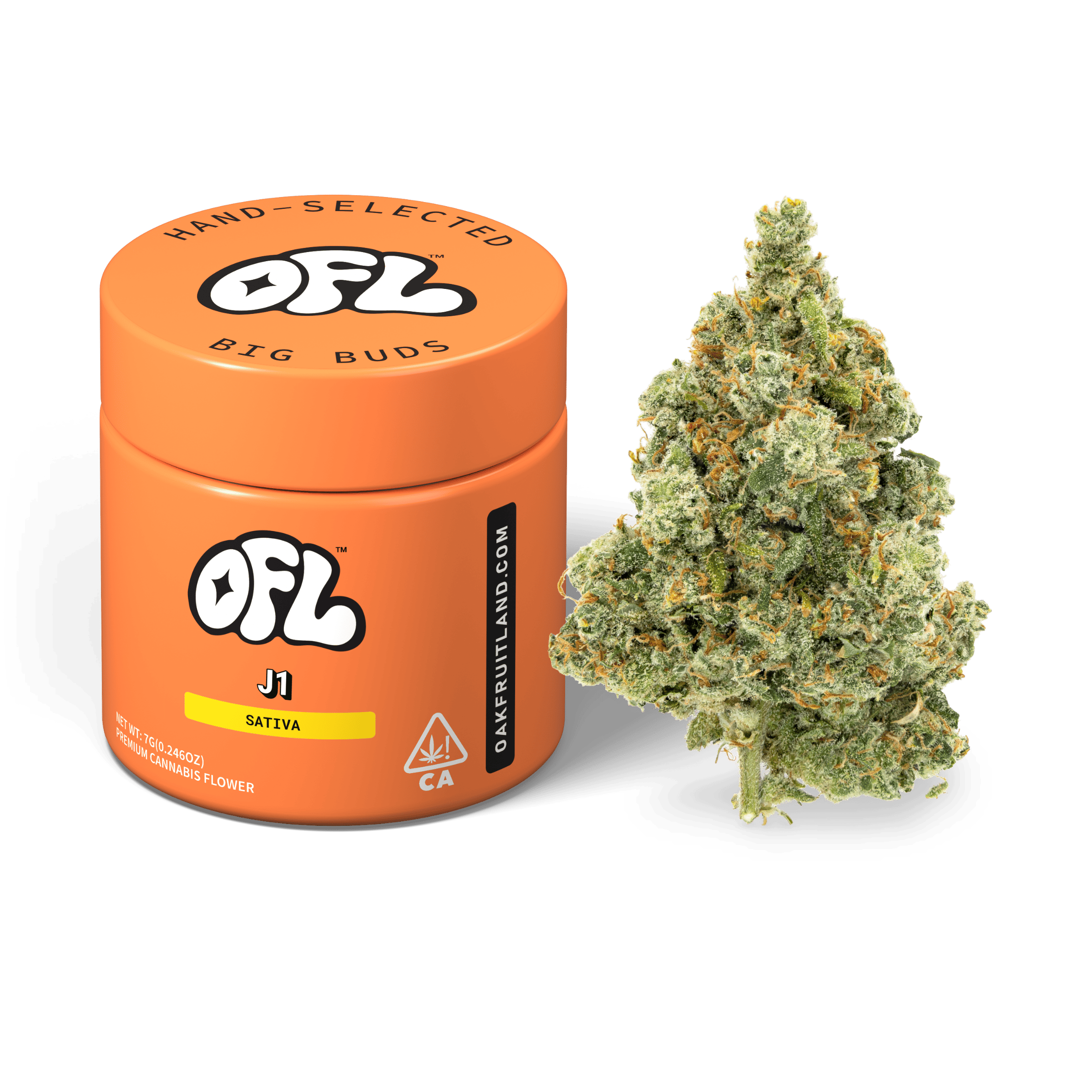 J1 | Big Buds Jar | 7g