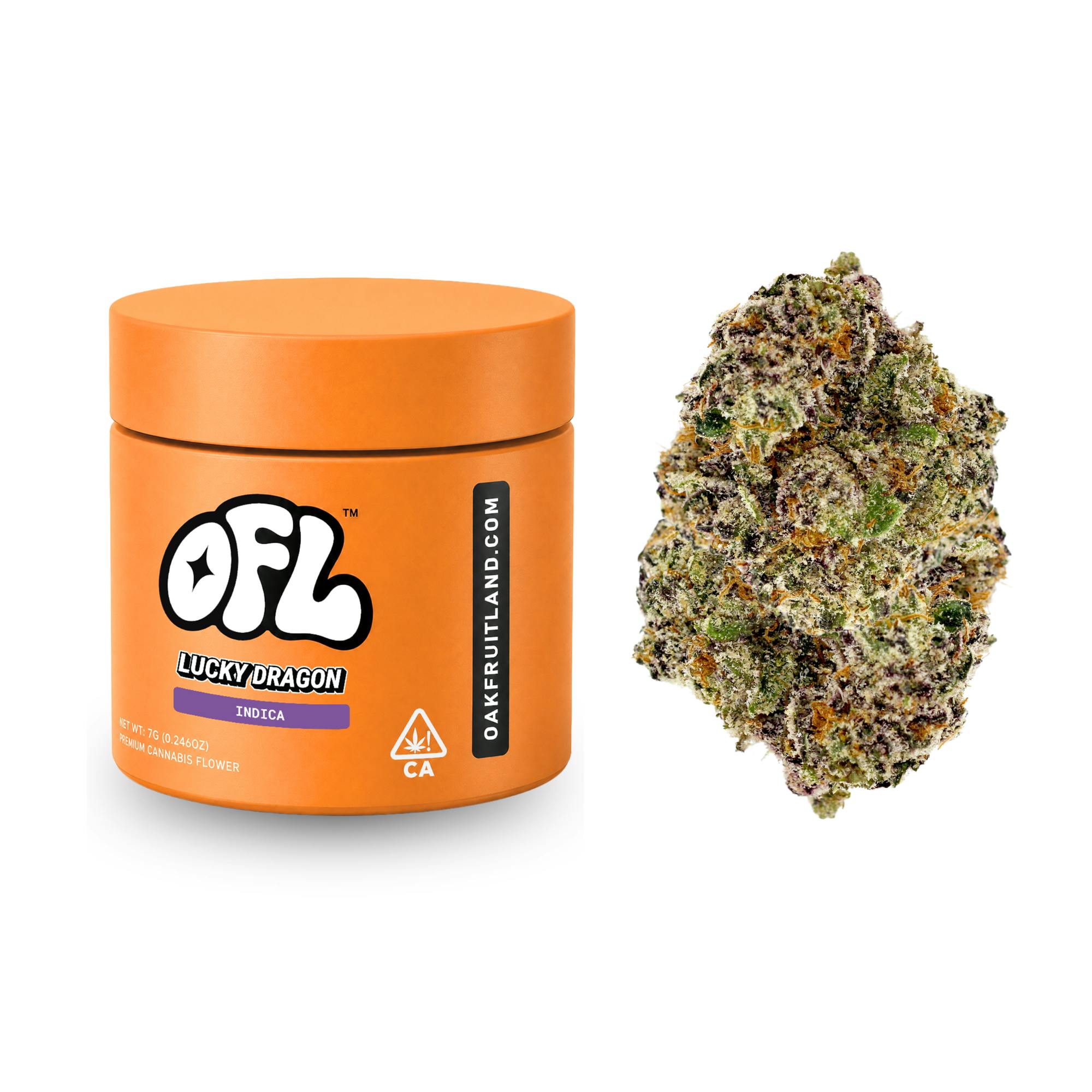 Oakfruitland (OFL): Lucky Dragon