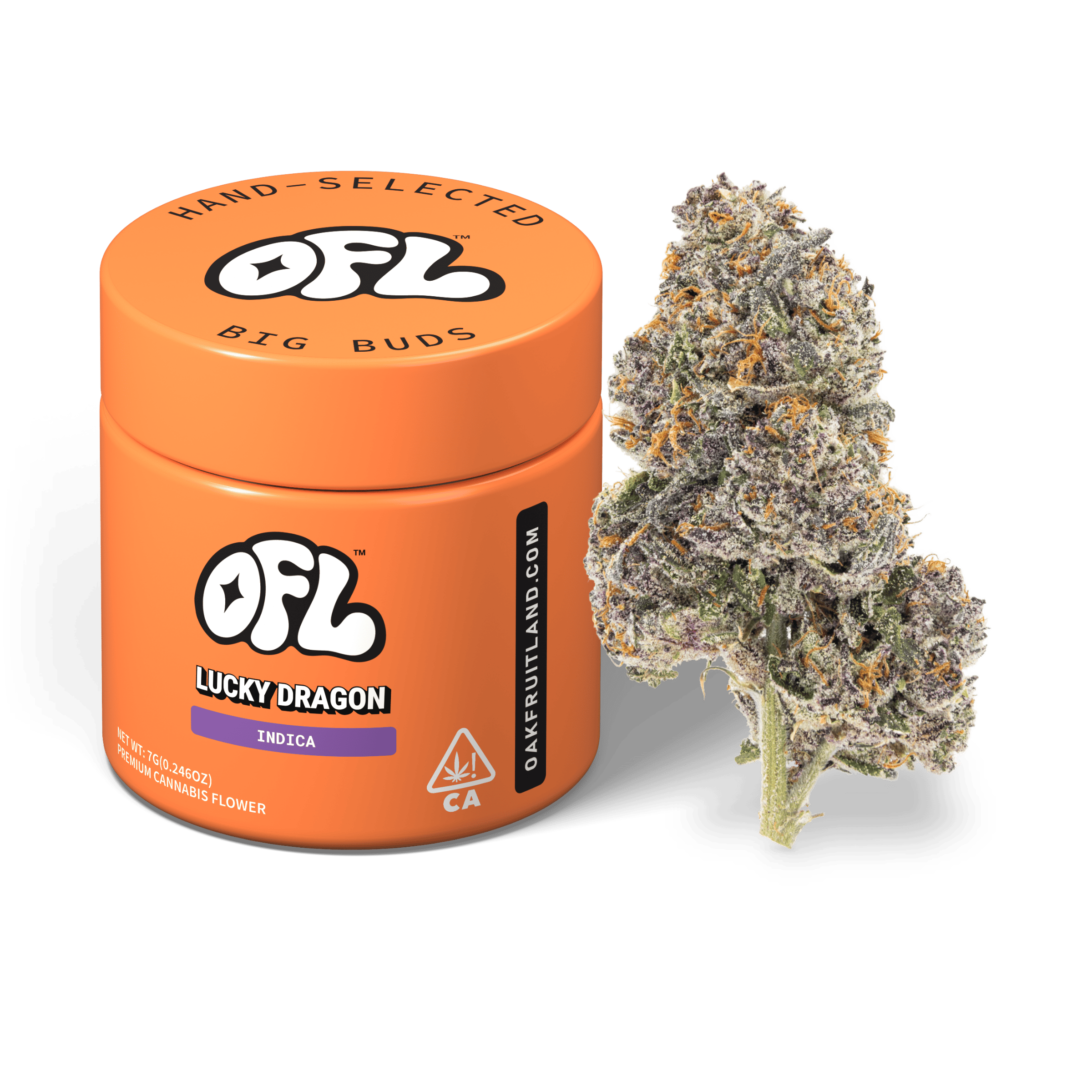 Lucky Dragon | Big Buds Jar | 7g