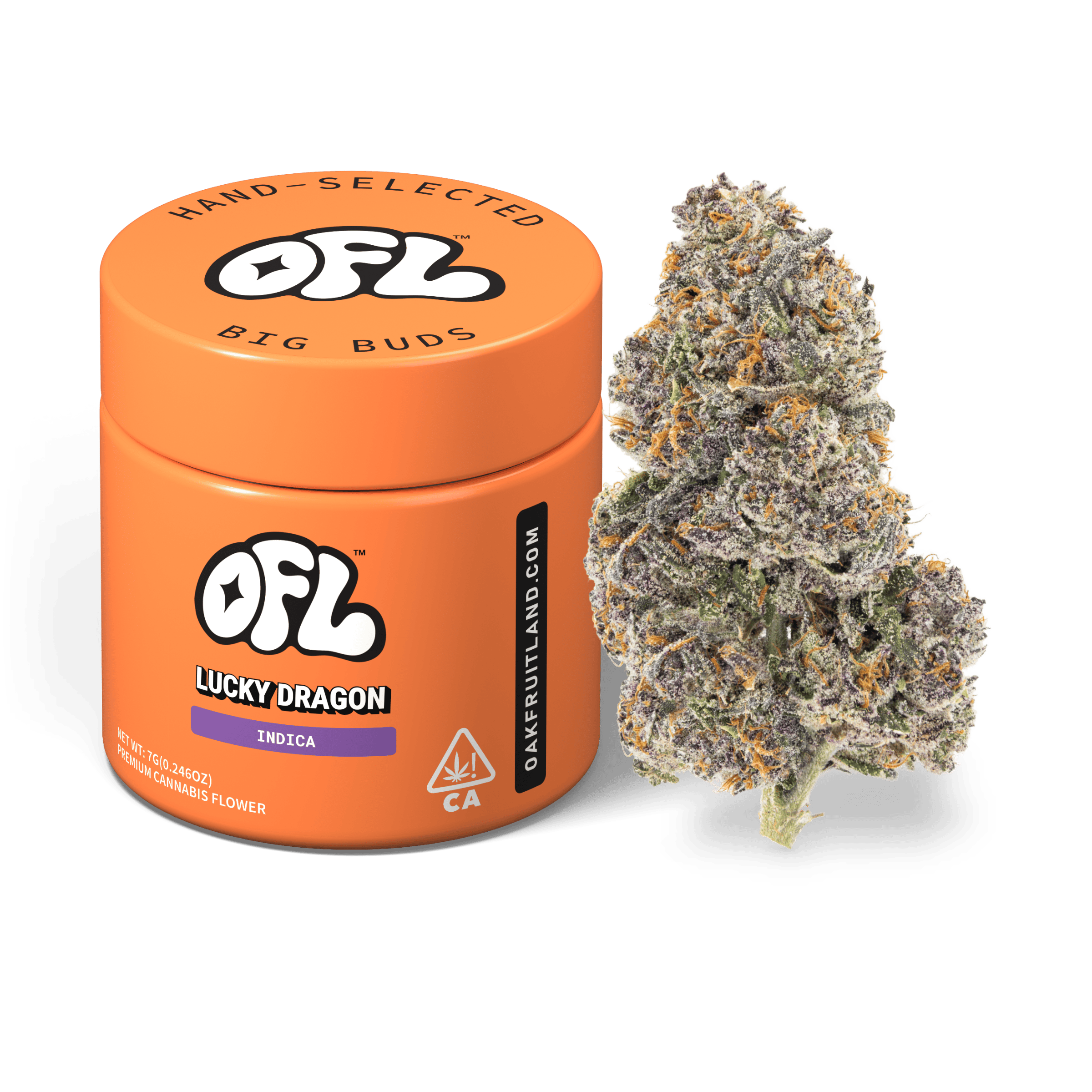 Lucky Dragon | Big Buds Jar | 7g