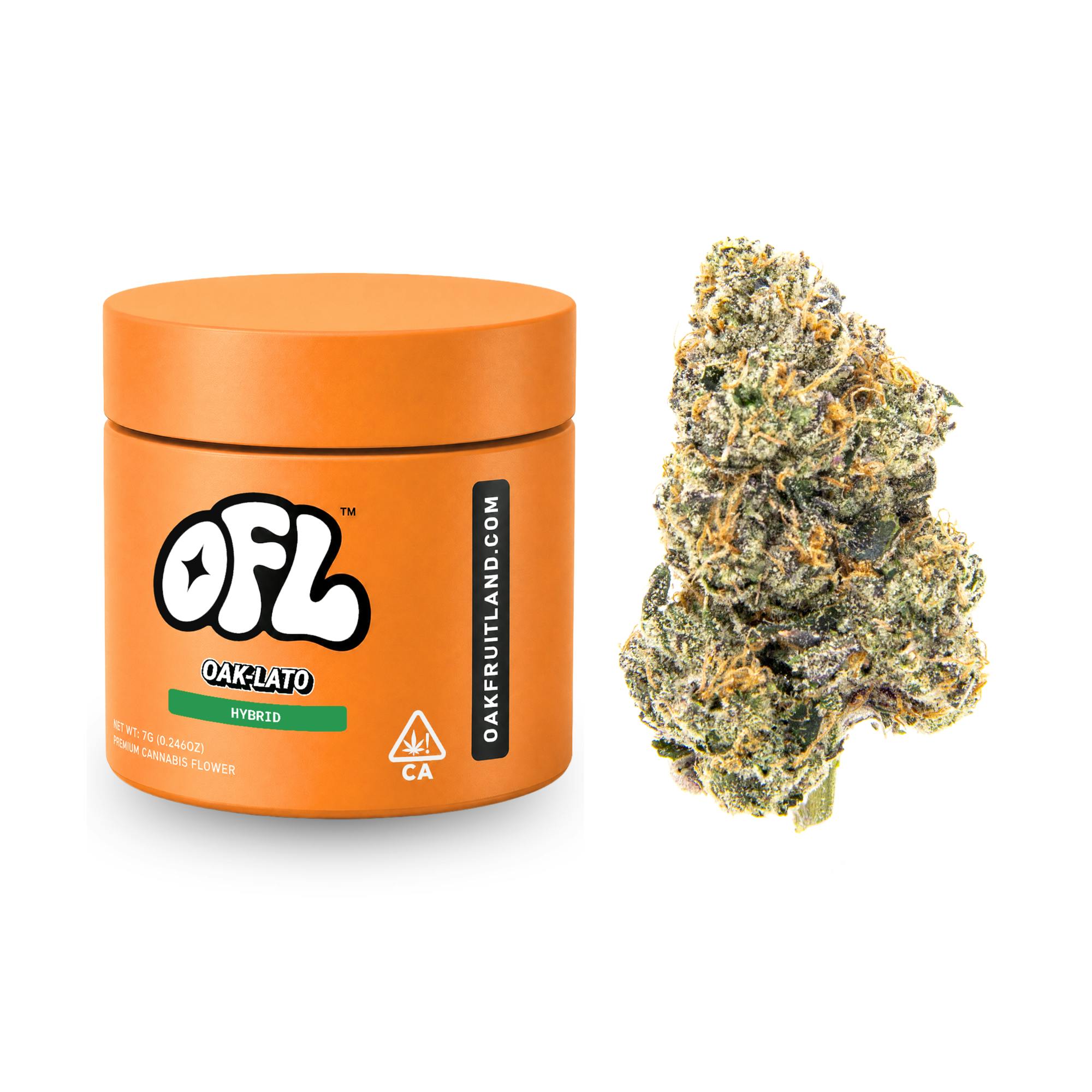 Oakfruitland (OFL): Oak Lato