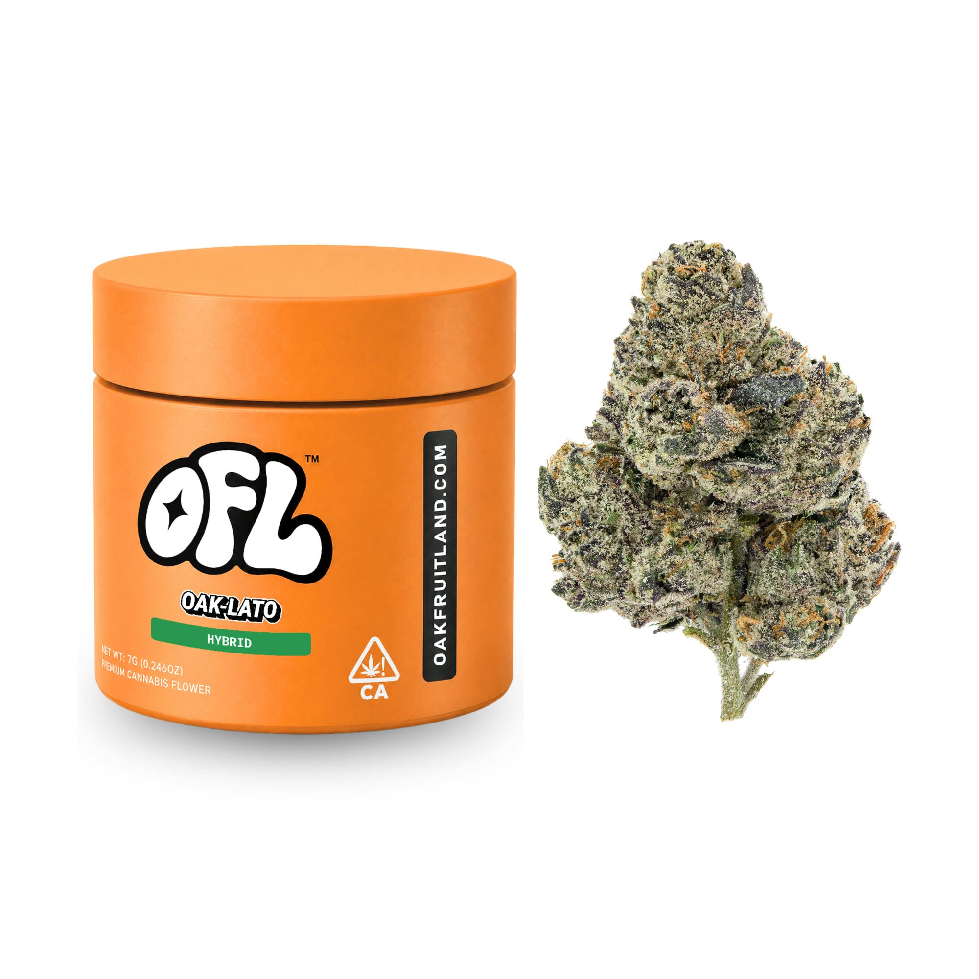 Oak-Lato | Big Buds Jar | 7g