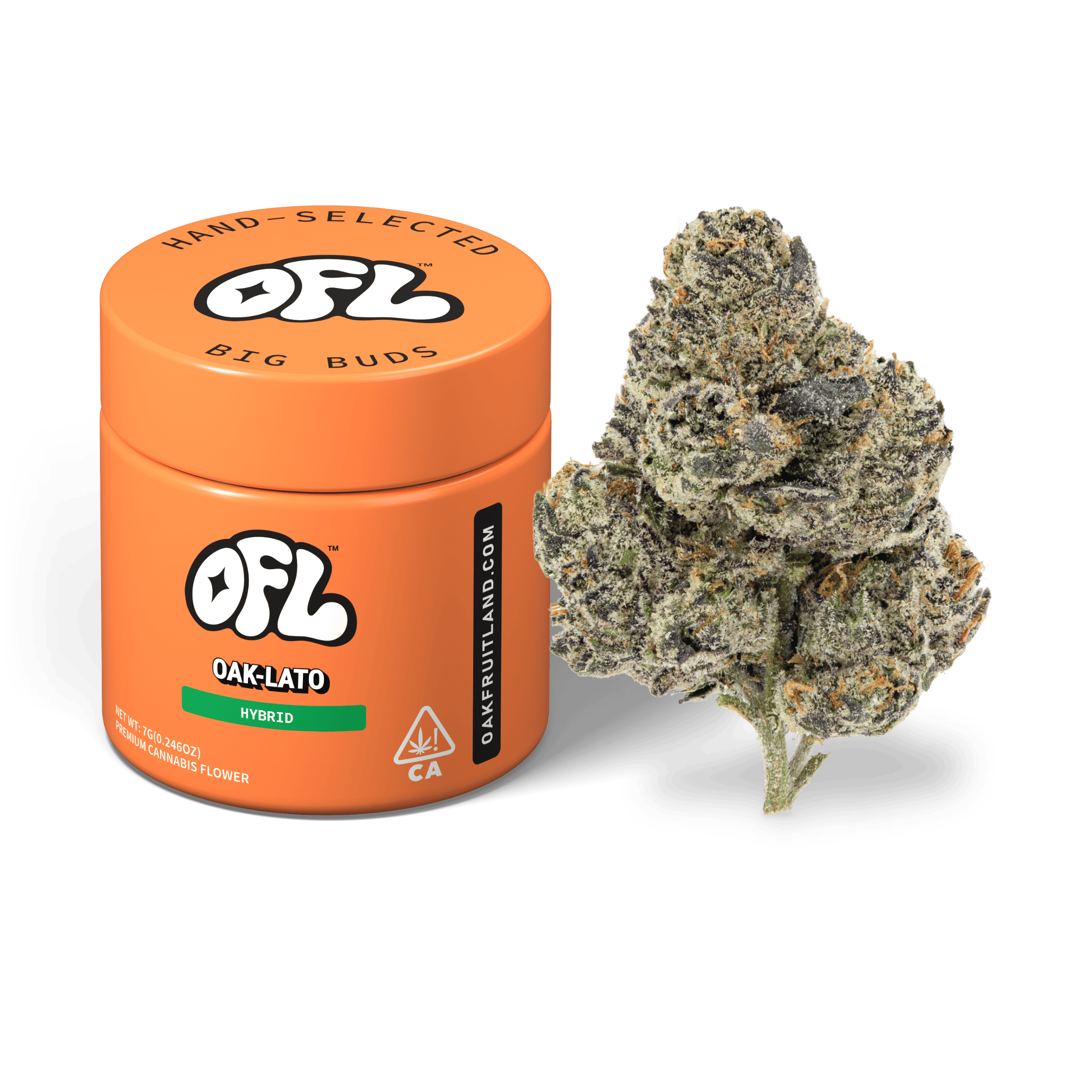 Oak-Lato | Big Buds Jar | 7g