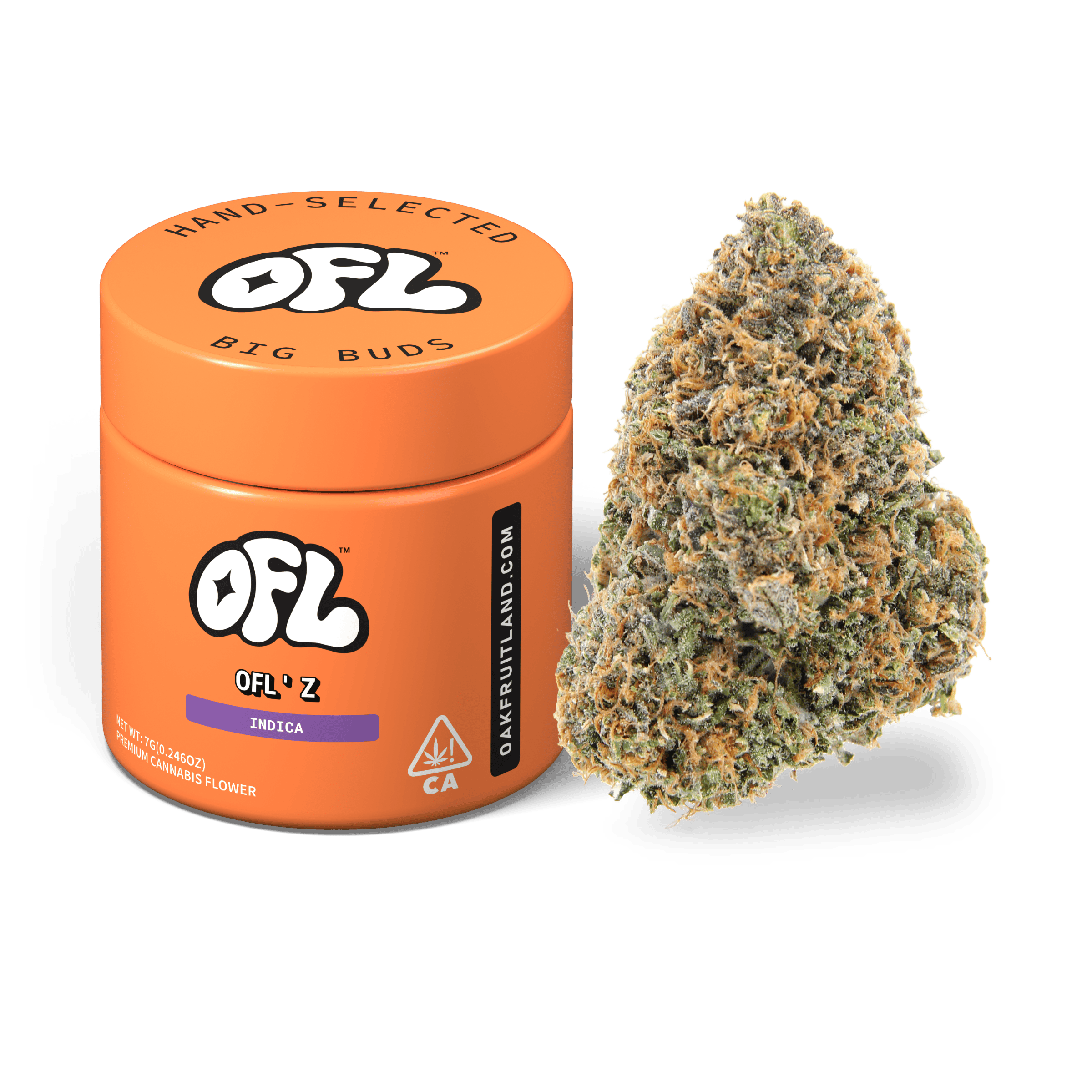 OFL' Z | Big Buds Jar | 7g