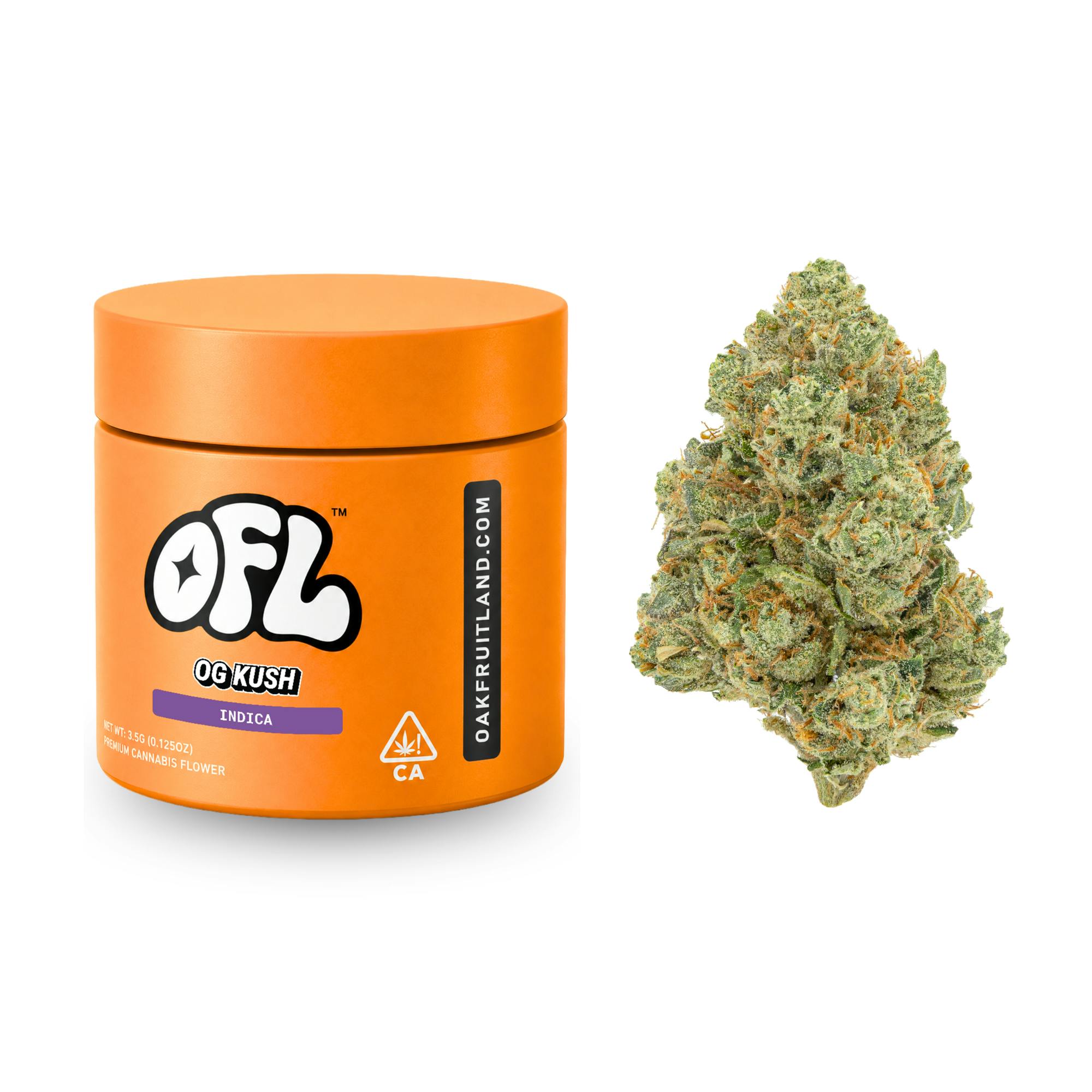 OG Kush | Big Buds Jar | 7g