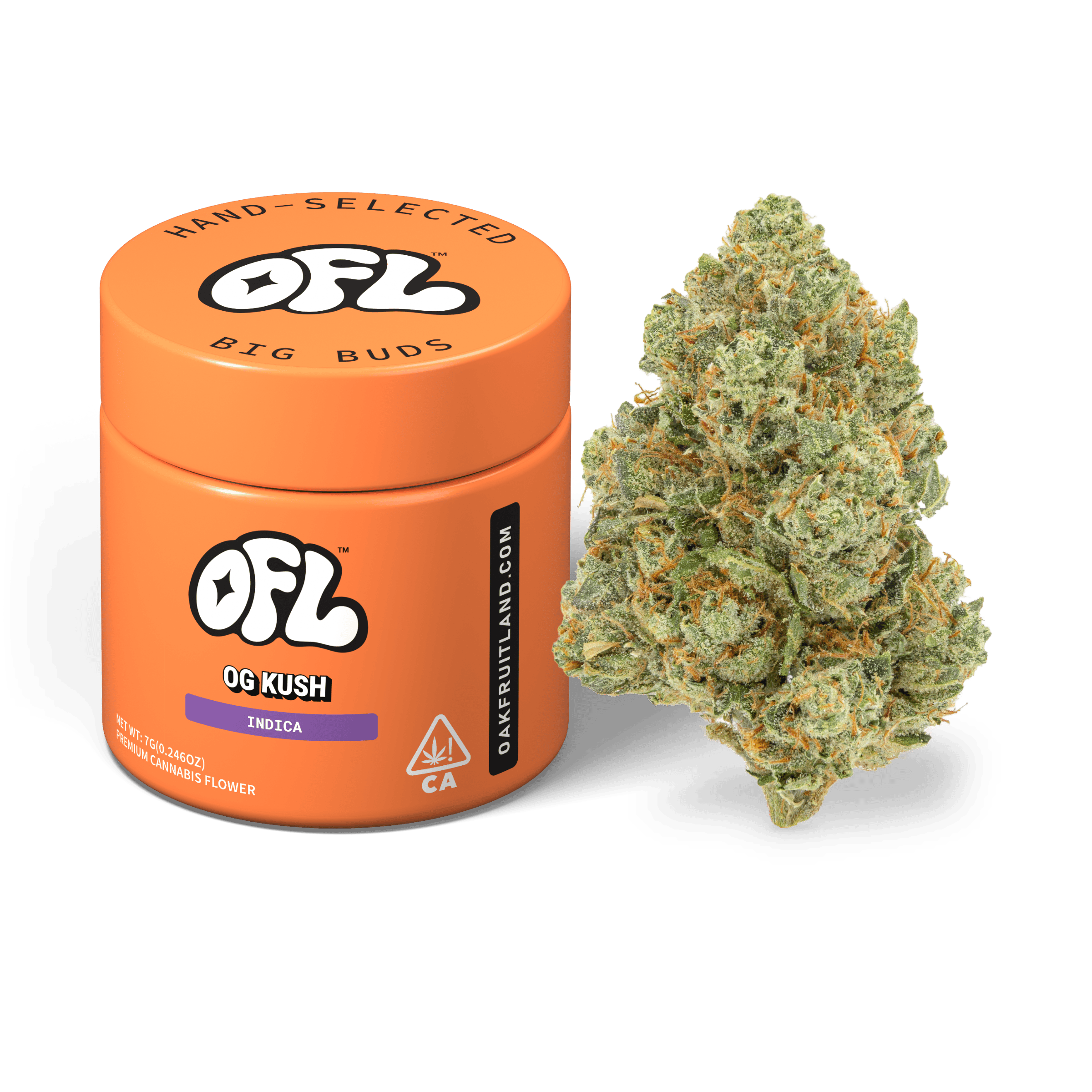 OG Kush | Big Buds Jar | 7g