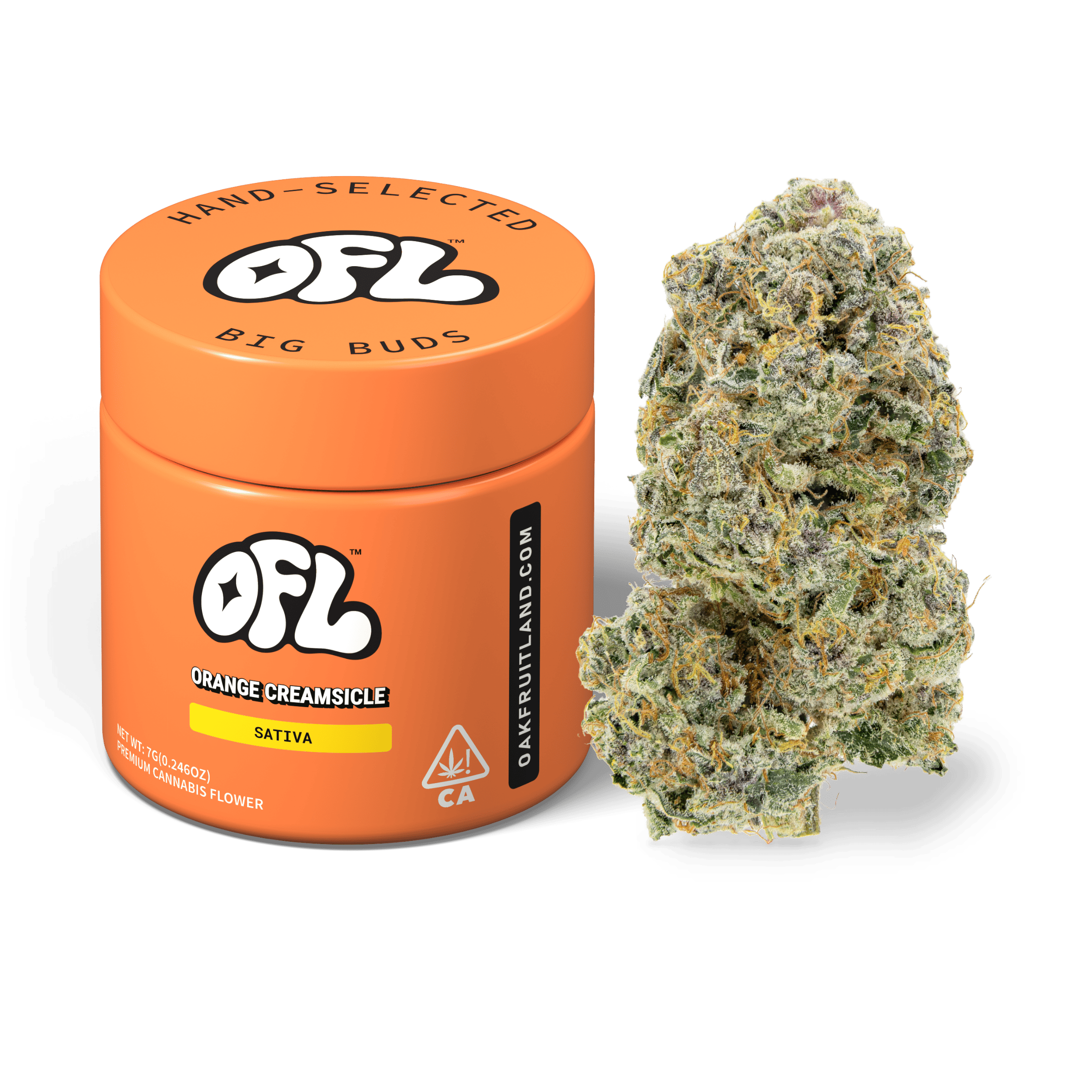 Orange Creamsicle | Big Buds Jar | 7g
