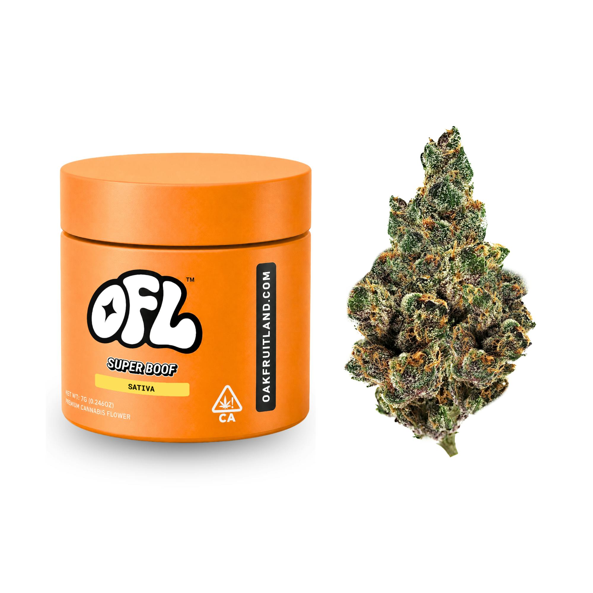 Oakfruitland (OFL): Super Boof
