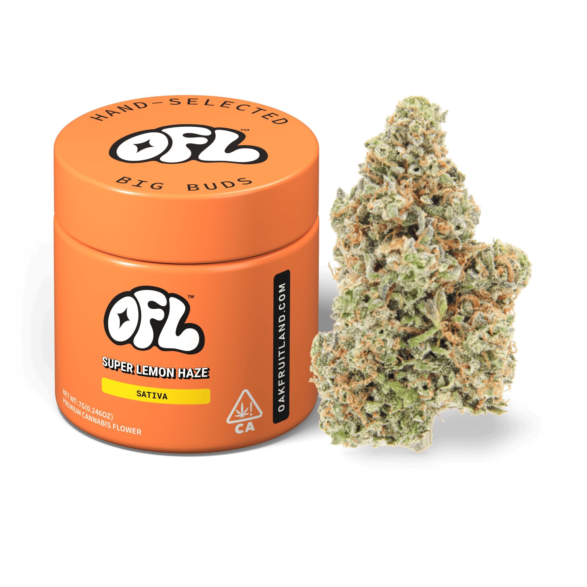 Super Lemon Haze | Big Buds Jar | 7g