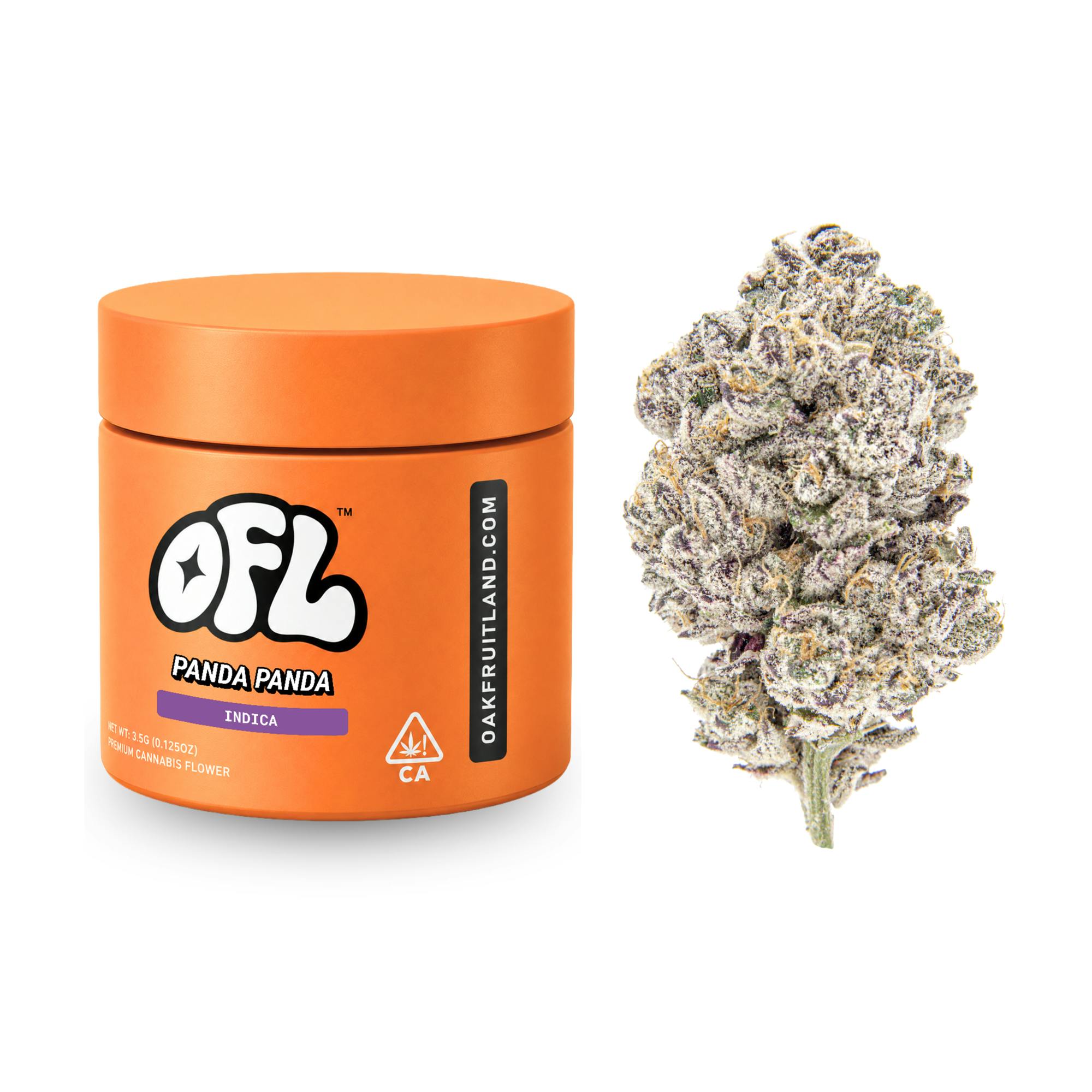 Panda Panda | Big Buds Jar | 3.5g