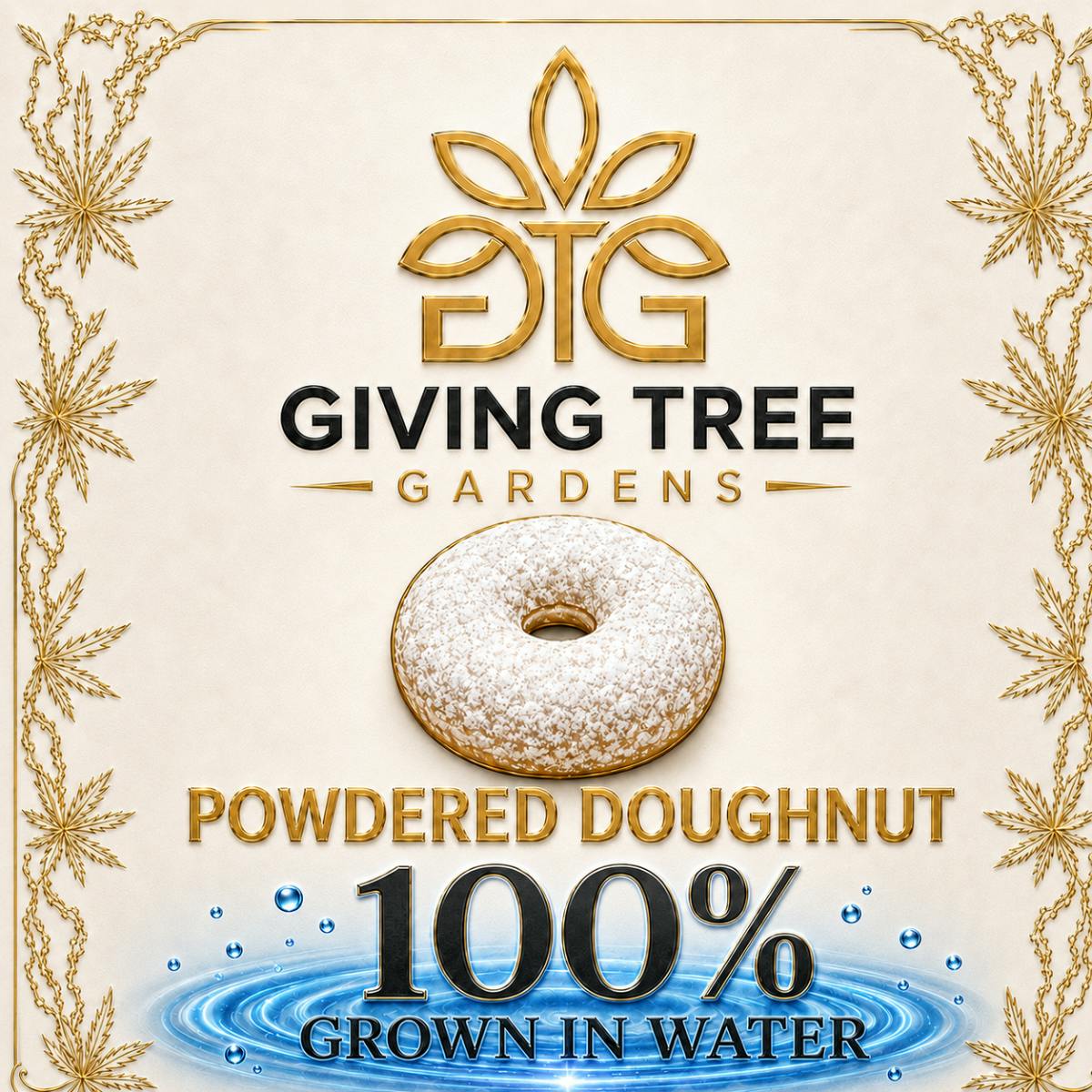 Powdered Doughnut– Deli Flower | 100% WATER GROWN • TRUE HYDRO by Giving Tree Gardens