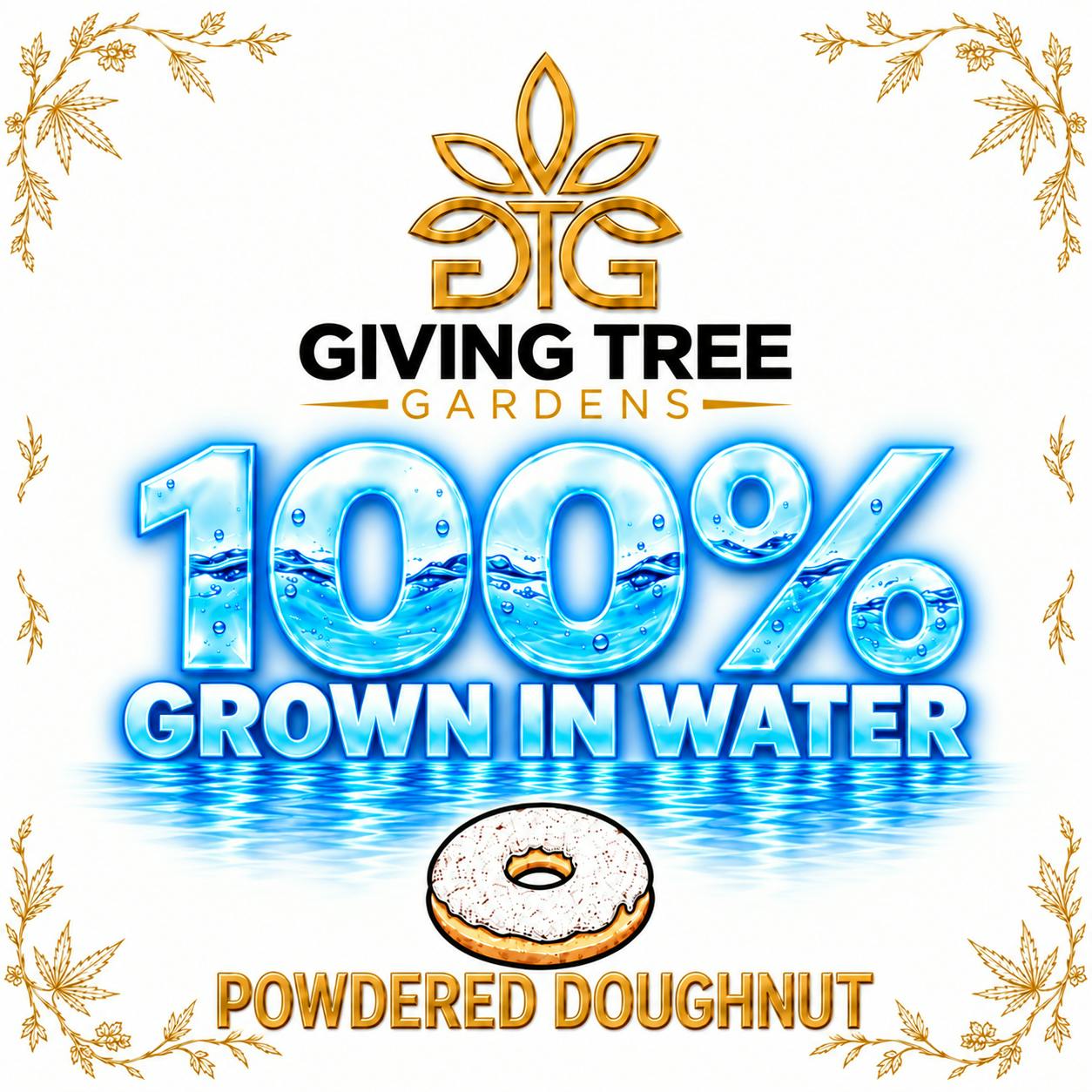 Powdered Doughnut– Deli Flower | 100% WATER GROWN • TRUE HYDRO by Giving Tree Gardens