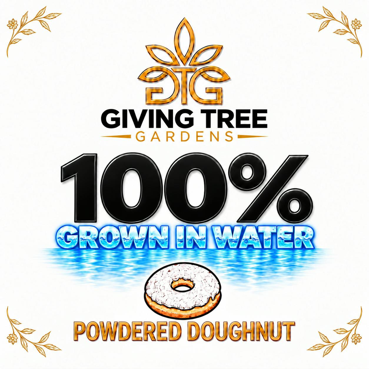 Powdered Doughnut– Deli Flower | 100% WATER GROWN • TRUE HYDRO by Giving Tree Gardens
