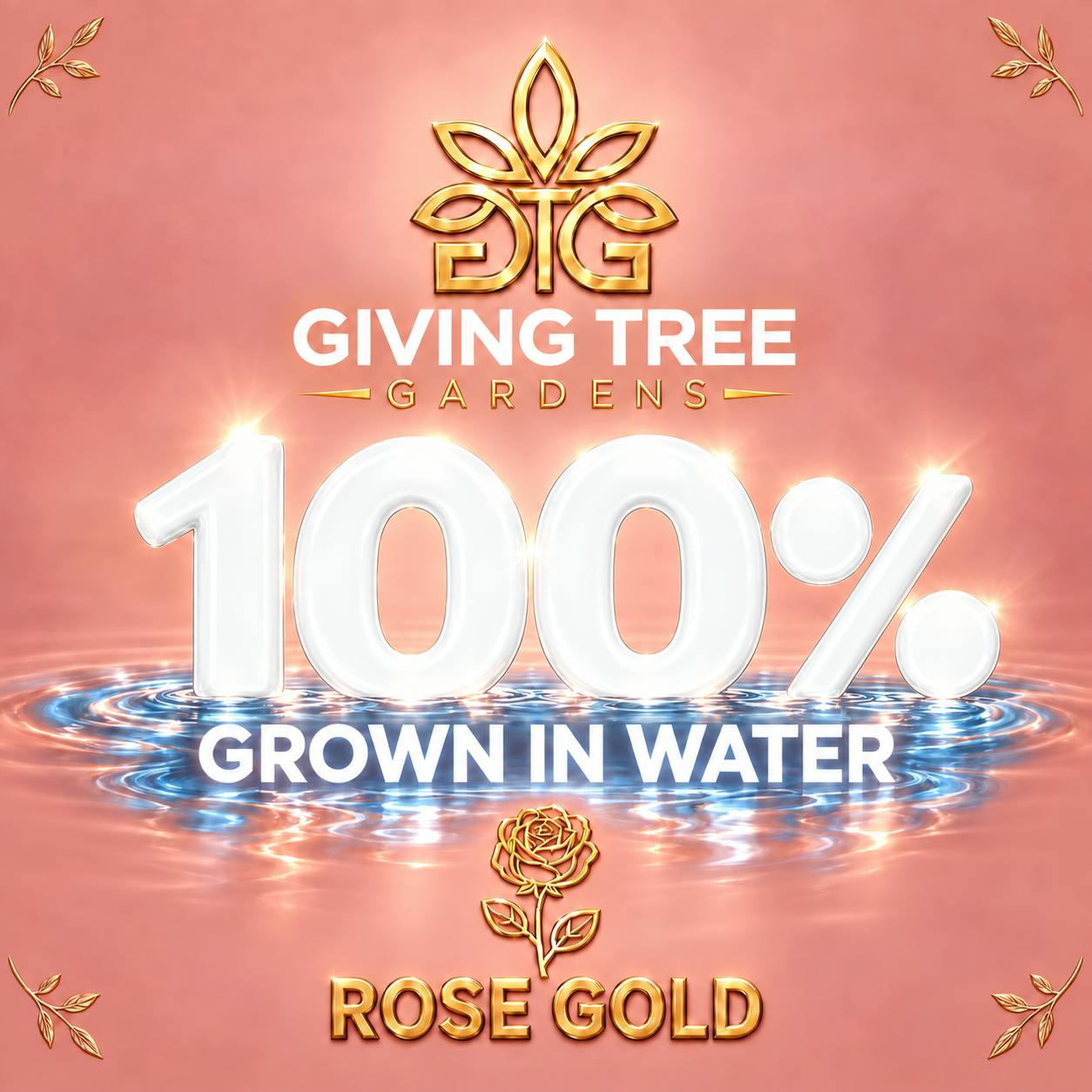 Rose Gold – Deli Flower | 100% WATER GROWN • TRUE HYDRO
