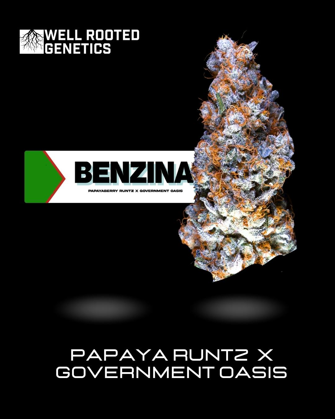 Benzina
