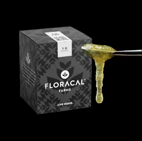 Papaya Eclipse | Live Rosin Jam | 1.0g