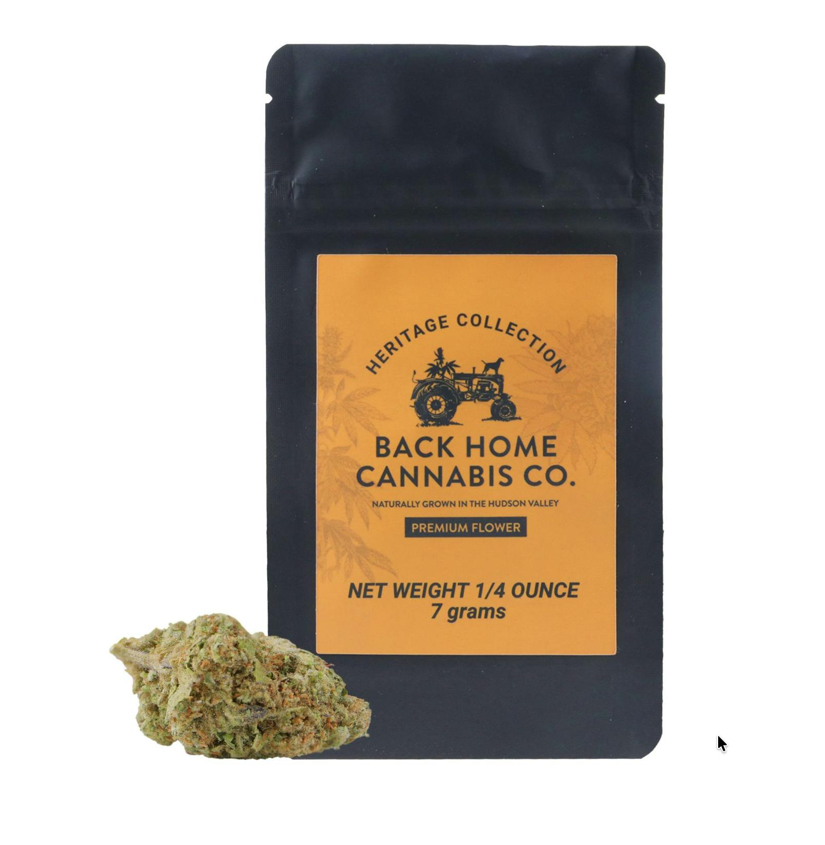 Acapulco Gold | Buds | 7g