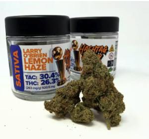 Larry Obrein Lemon Haze Big Buds