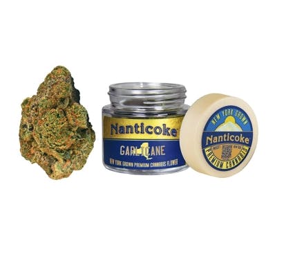 Garlicane Big Buds
